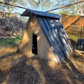 Claires new Chicken house