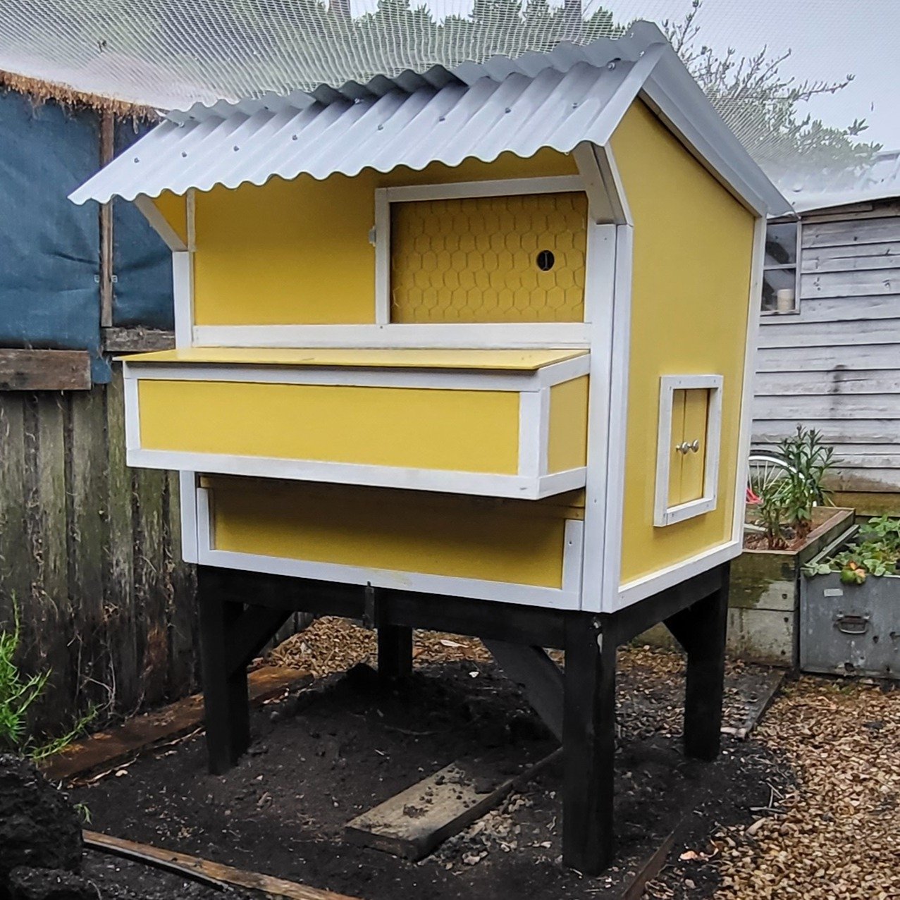 Our chicken's new home!