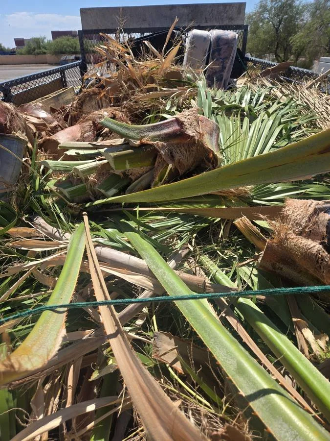 Brush, branches, and yard debris stacked and ready for removal from an Arizona property
