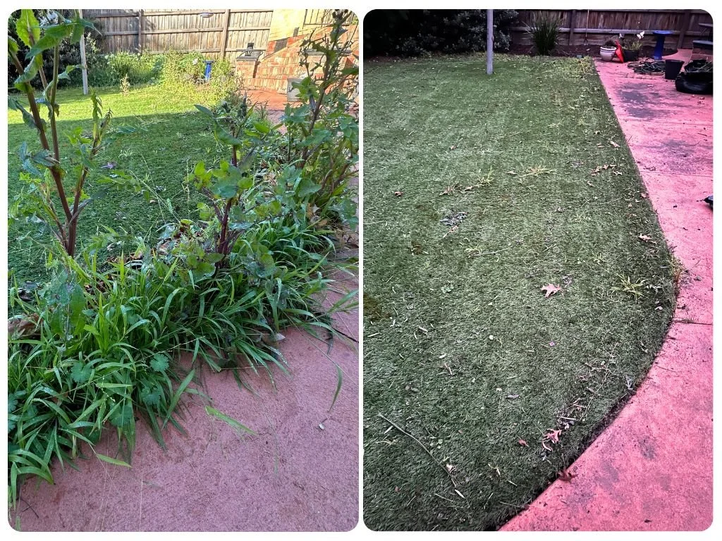 Weed removal service aberfeldie