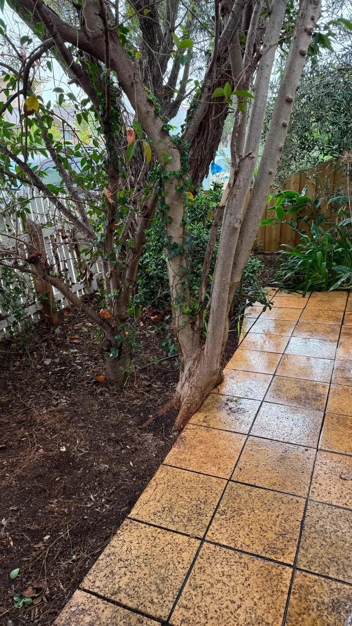 Organic debris cleaned up