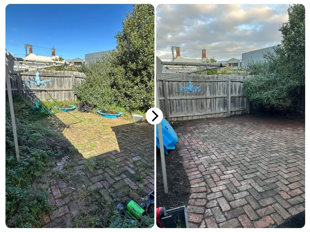 Flemington backyard clean up