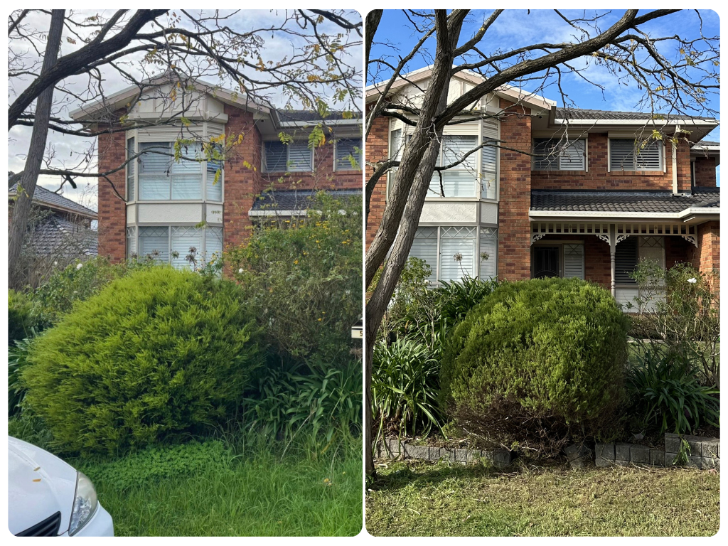 Frontyard Clean Up Transformation Doncaster