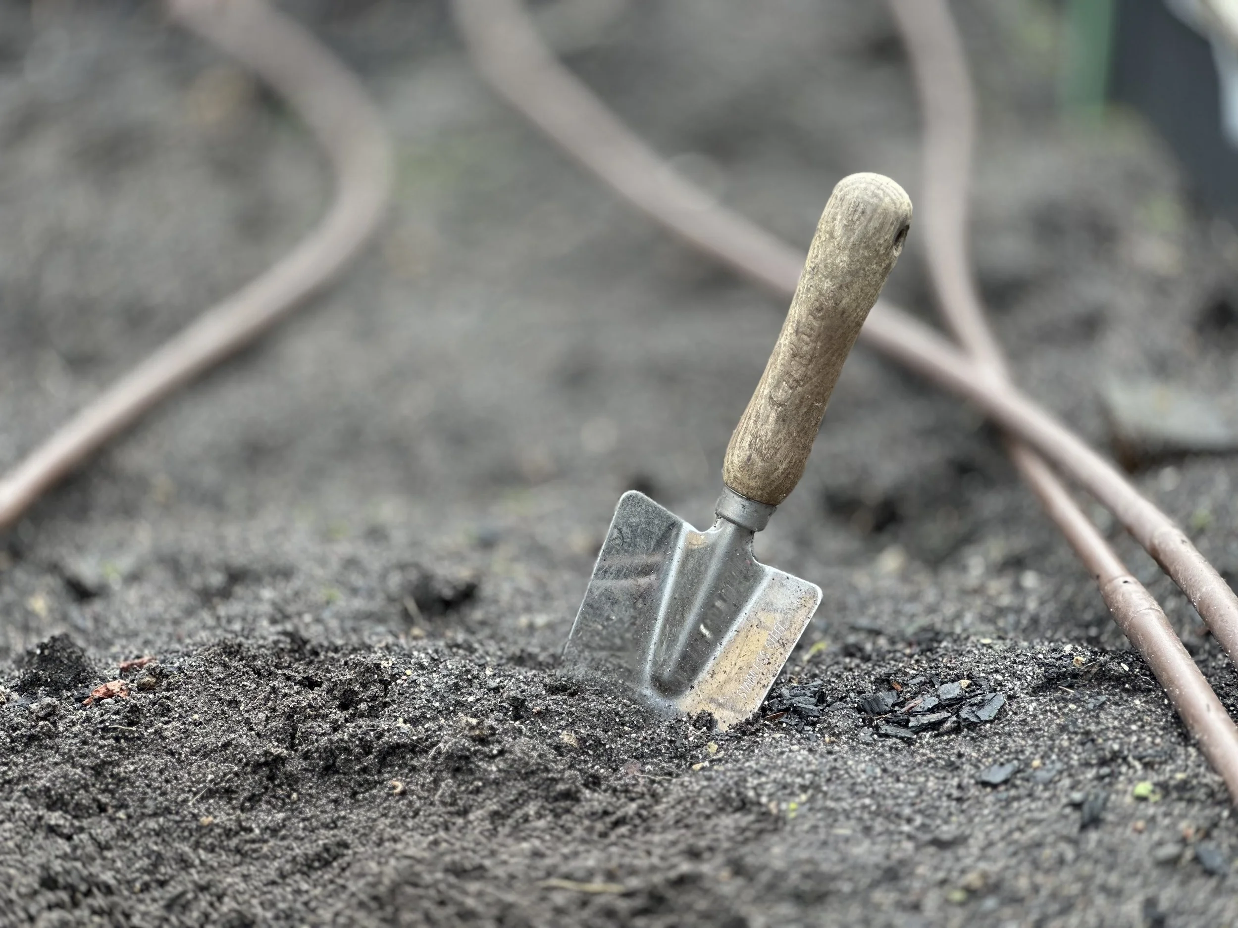 fertilising