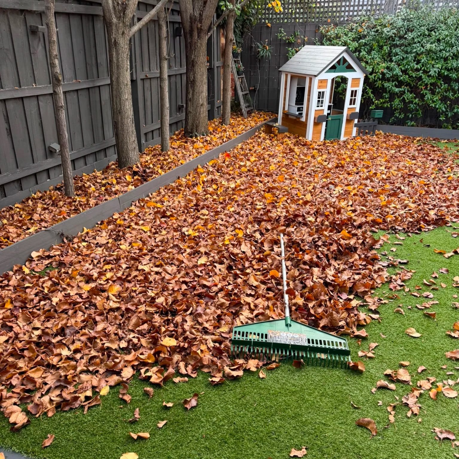 Garden clean up