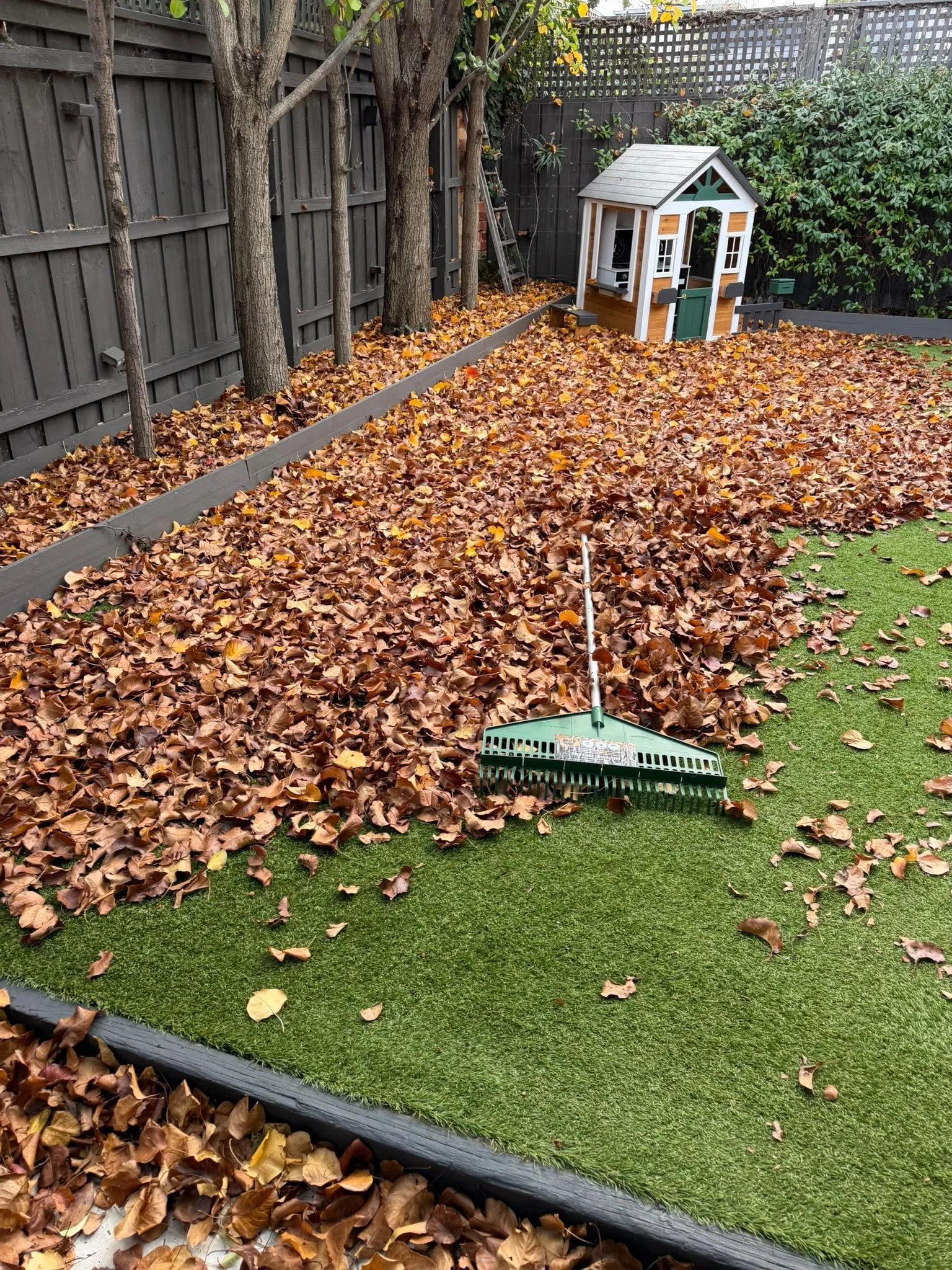 Seasonal Yard Clean Up in Melbourne