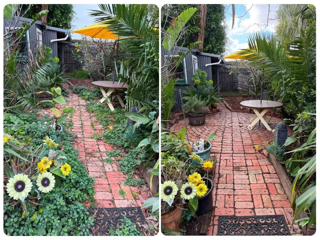 Garden Pathway Clean Up Footscray