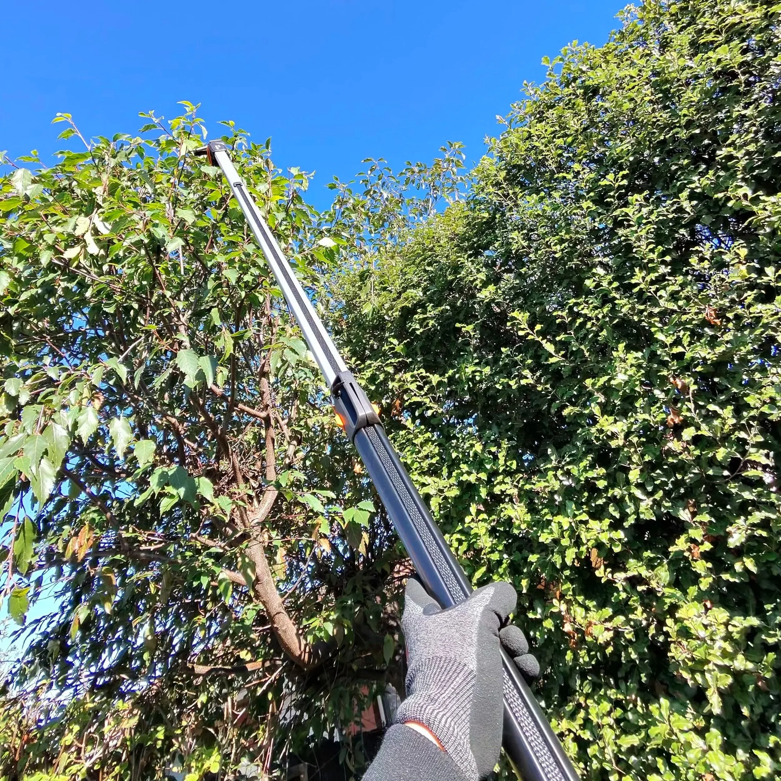 hedge trimming and pruning melbourne