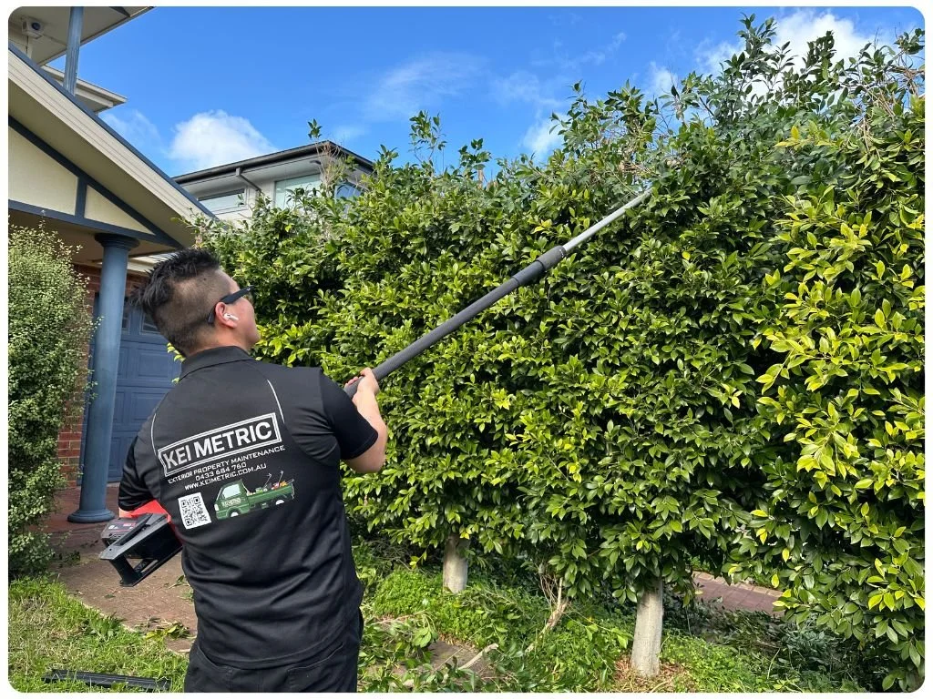 Kei Metric Hedge Pruning Altona North