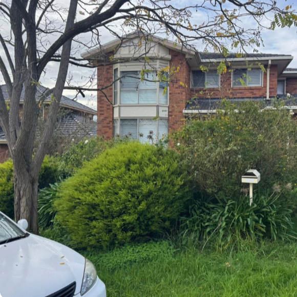 Bushy overgrowth