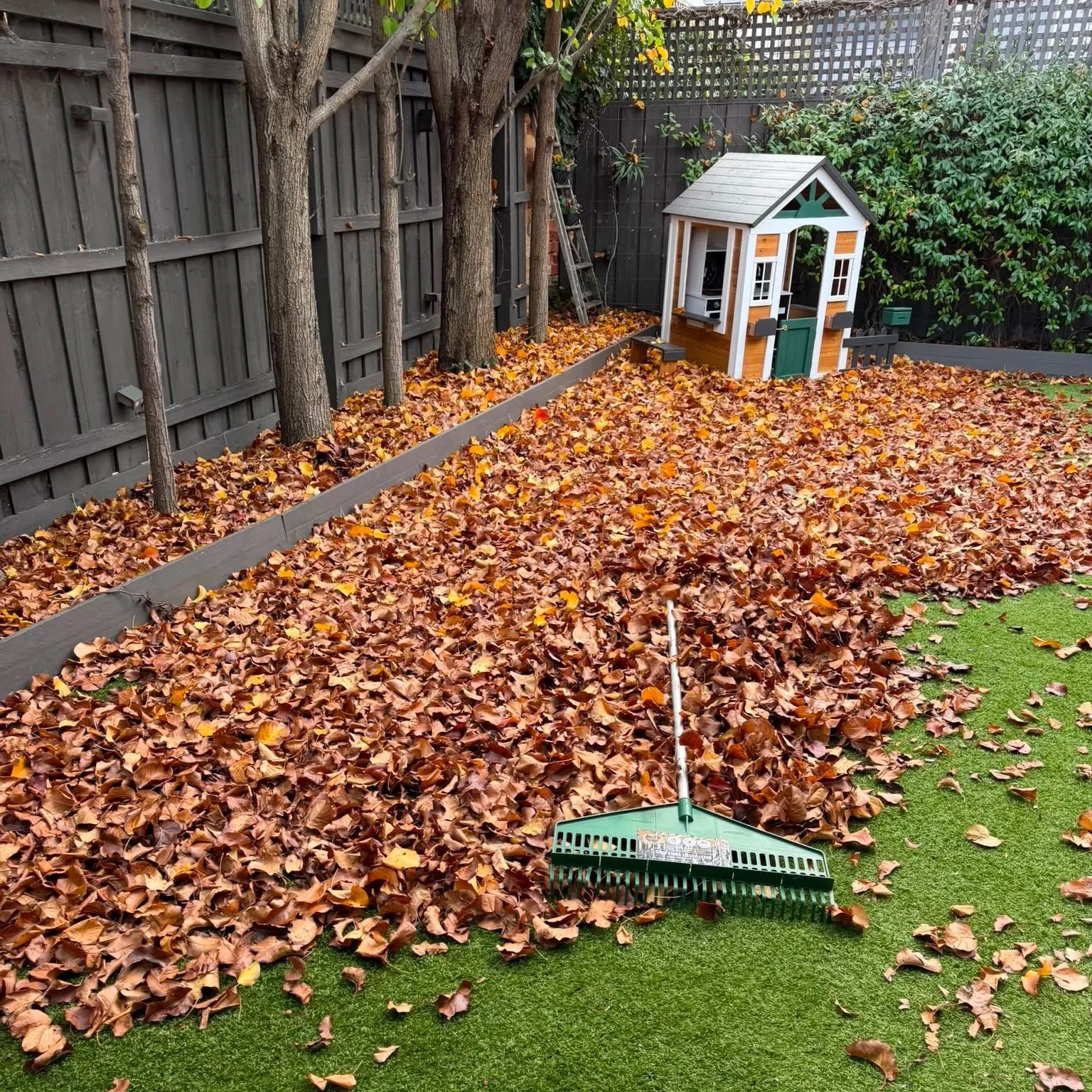 garden cleaning service