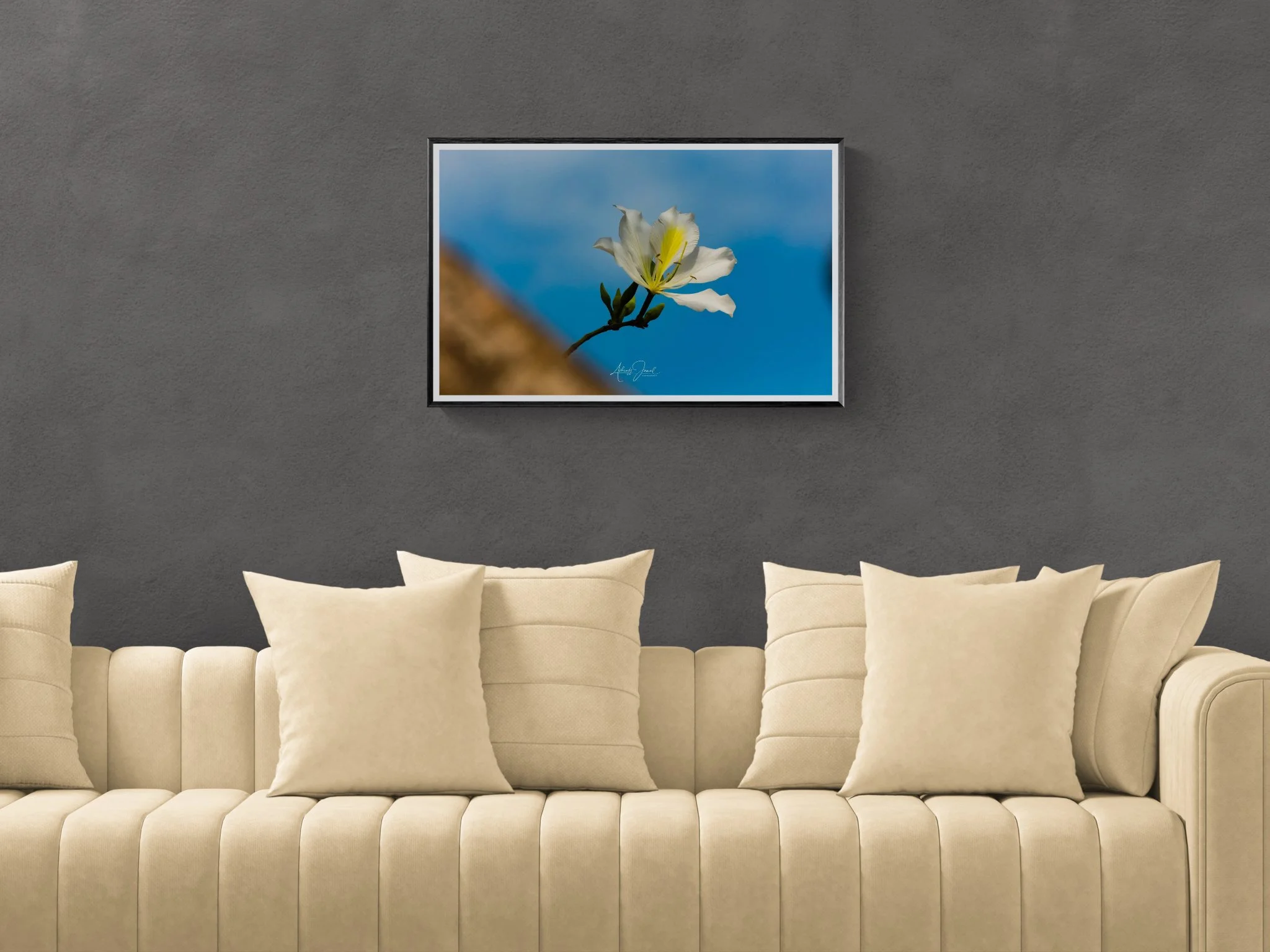 Framed white Bauhinia flower print hanging on a modern wall in a styled interior.