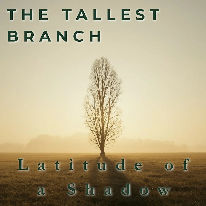 Latitude of a Shadow album cover by The Tallest Branch: a lone tree in warm, hazy light