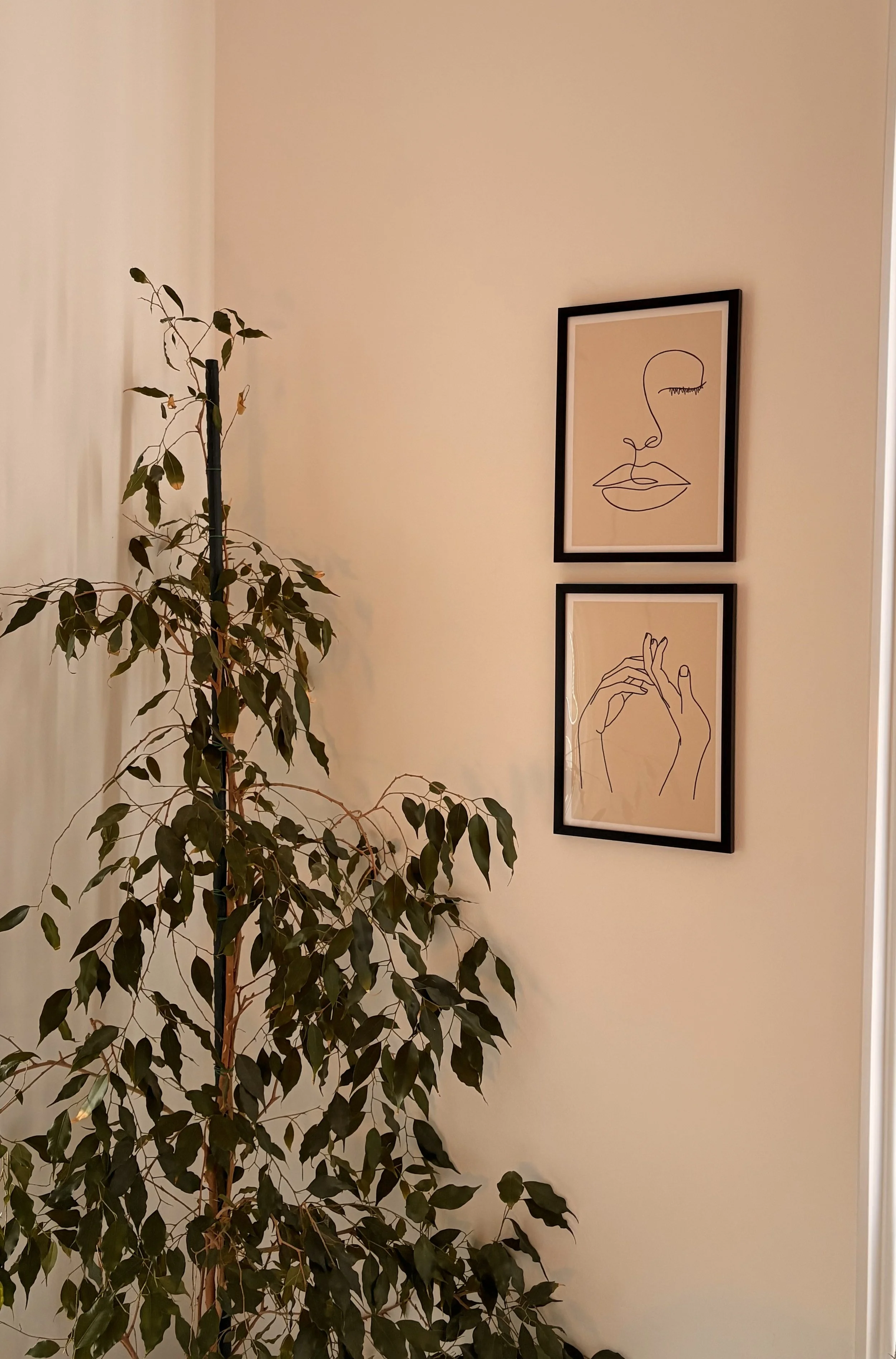 Interior wall with two framed line art drawings of faces and hands, and a tall leafy houseplant on the left.