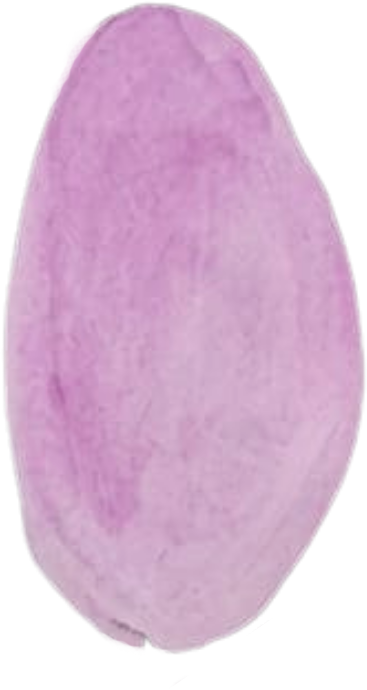 forma-organicas-lilas-identidad-wedupla-02