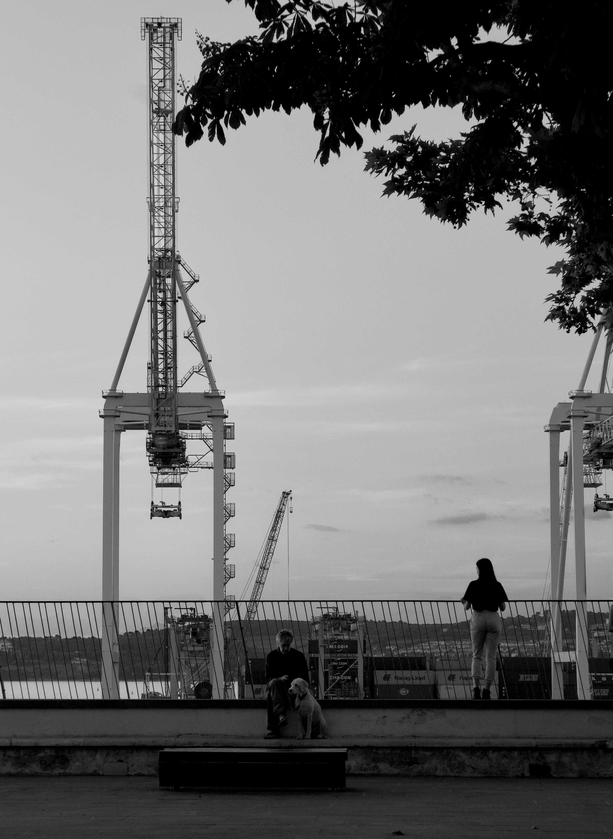 Black and white photo of a person with a dog and a child sitting on a bench near a waterfront, with industrial cranes in the background and a woman standing nearby. Trees are visible in the upper part of the image, and a mesh fence separates the fore