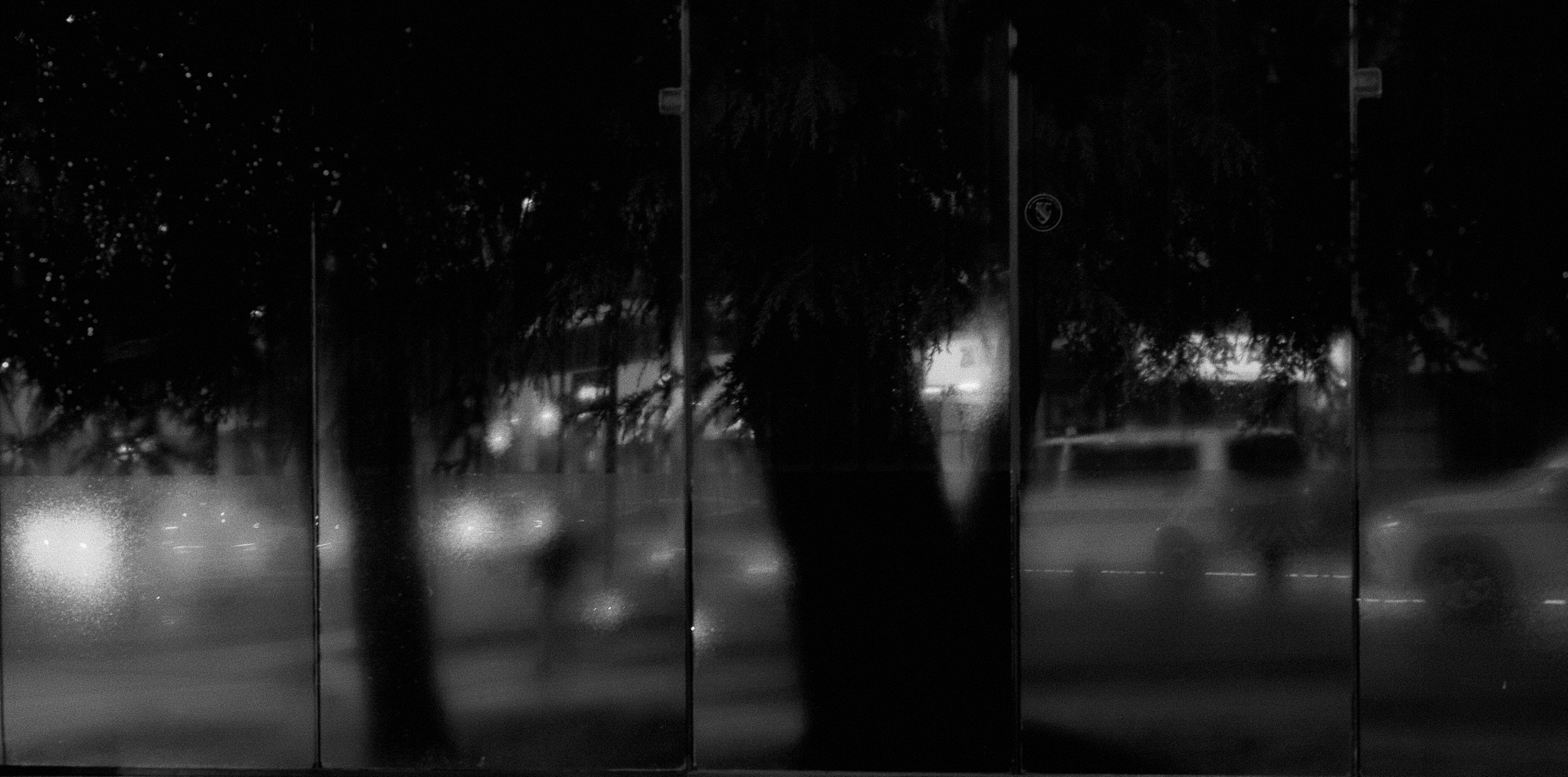 Nighttime scene through a rain-streaked window with blurred trees and streetlights.
