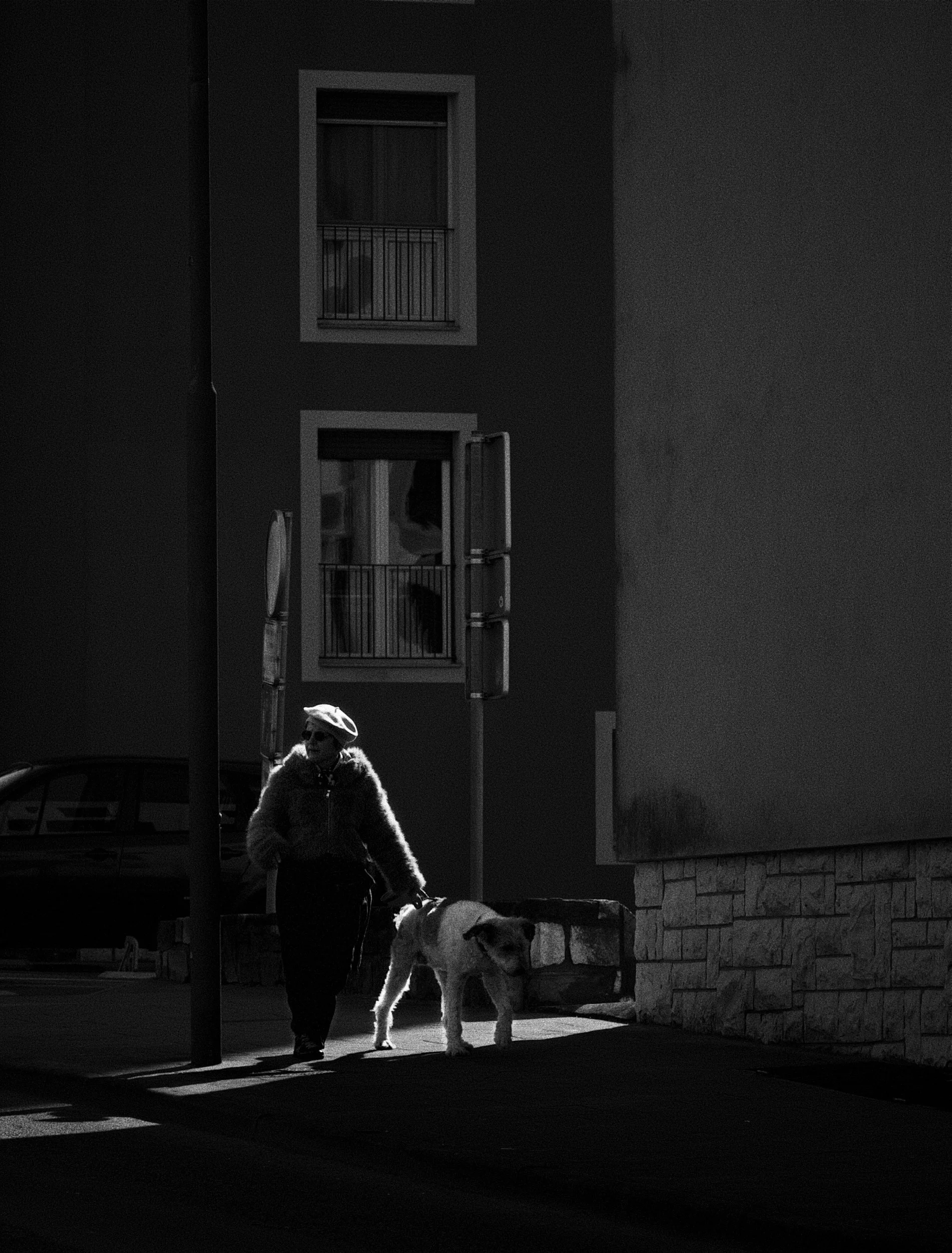 A person wearing a hat and sunglasses walking a large dog on a leash at night, with shadows cast on the sidewalk. There are residential buildings with windows and balconies in the background.