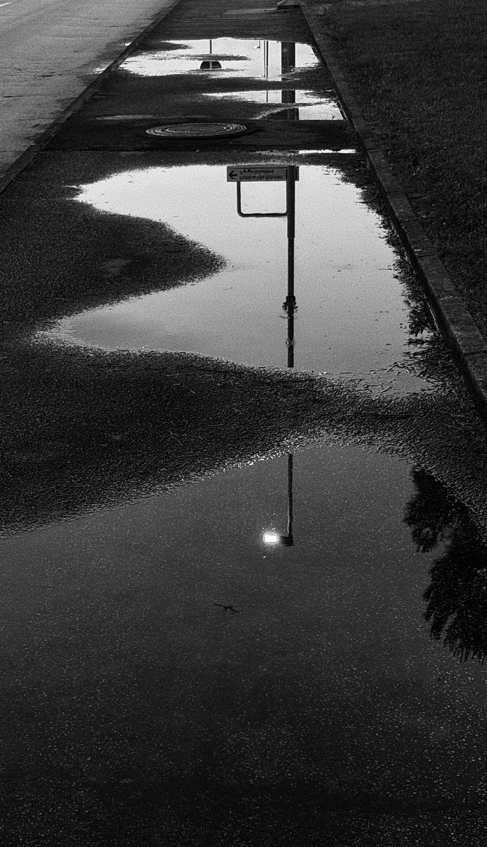 A sidewalk with multiple puddles reflecting a streetlight, street sign, and tree in black and white.