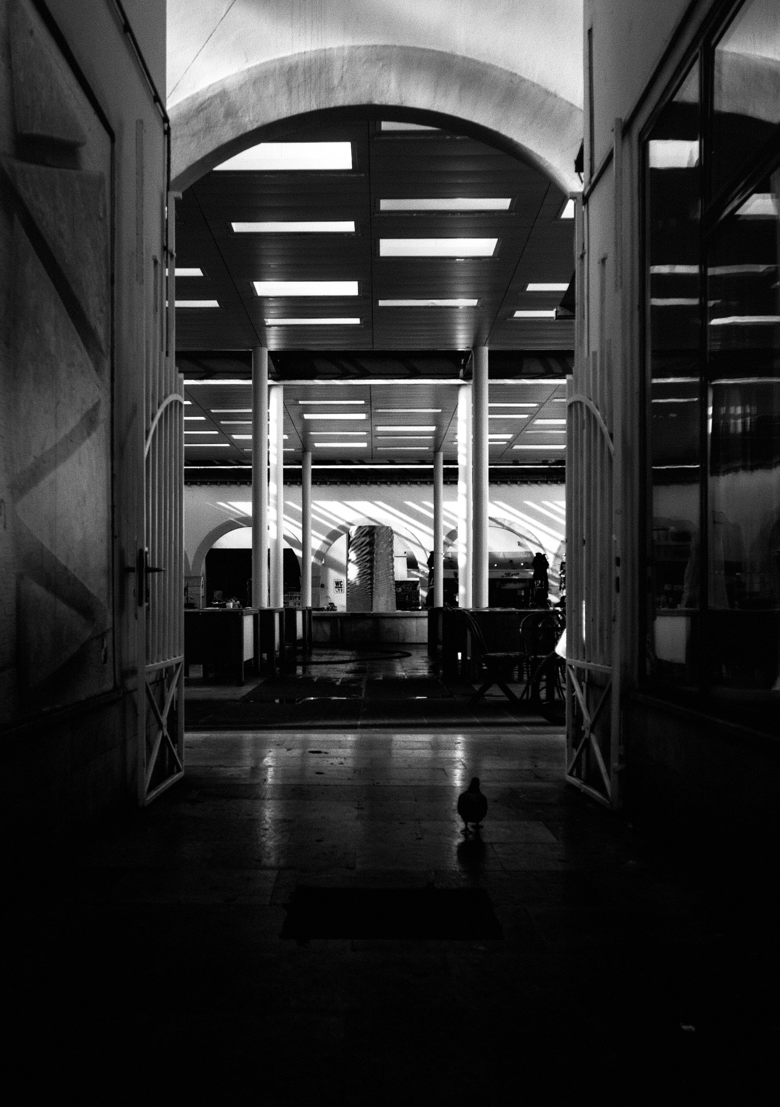 L1014834.jpeg