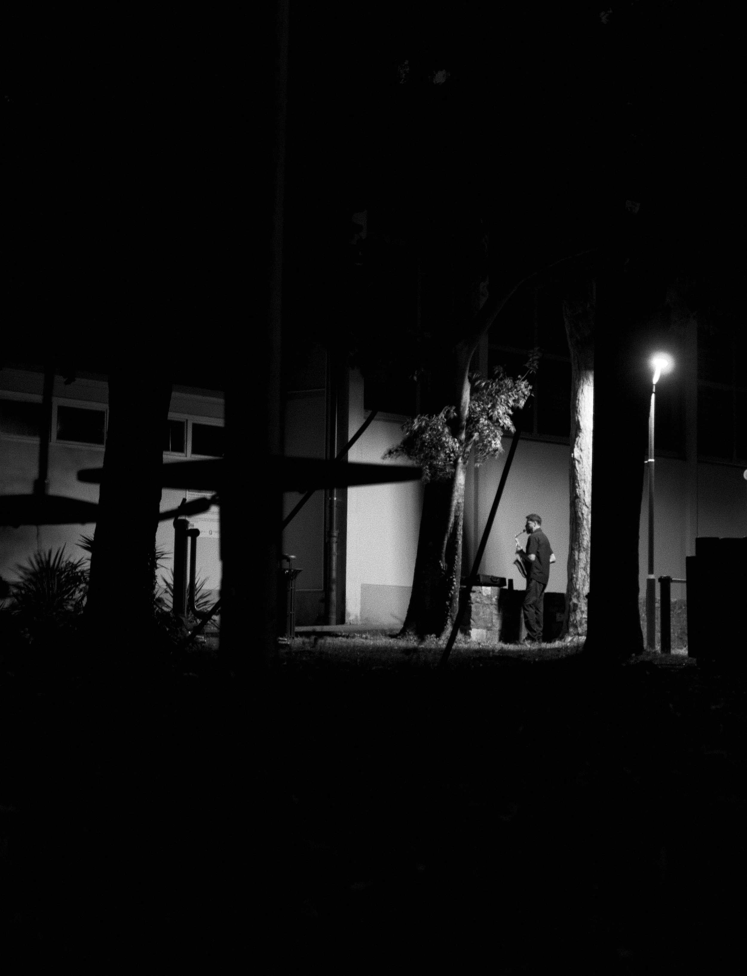 Nighttime scene with trees and a person standing near a building, illuminated by a streetlight.