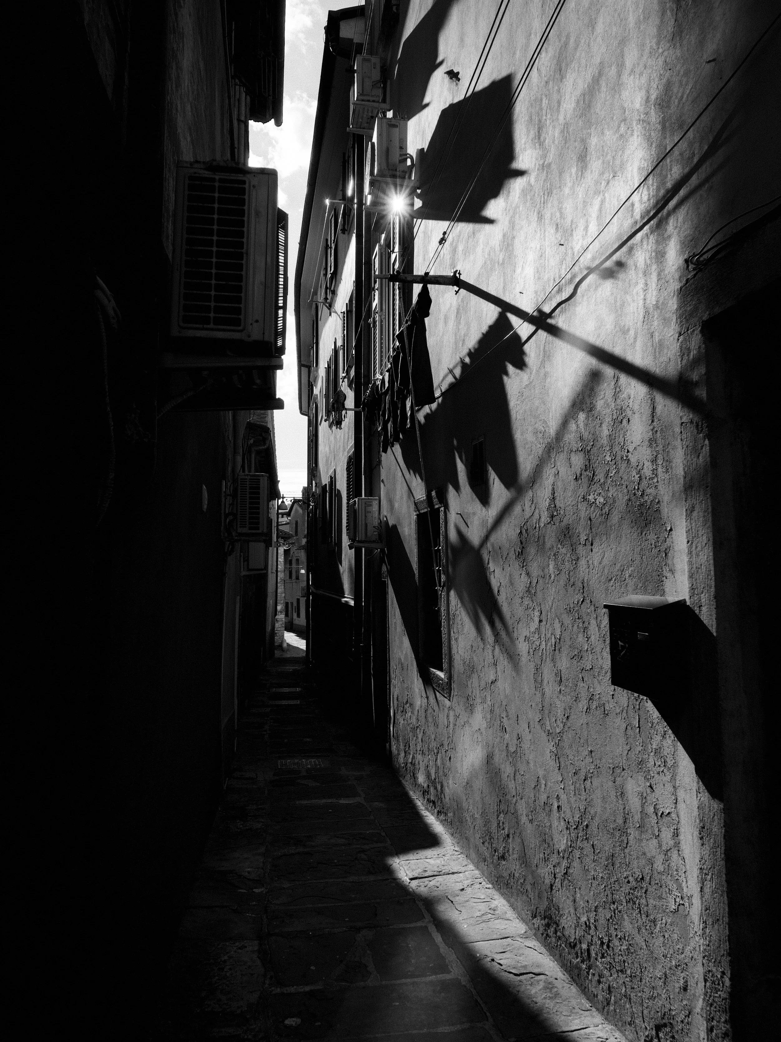 L1014770.jpeg