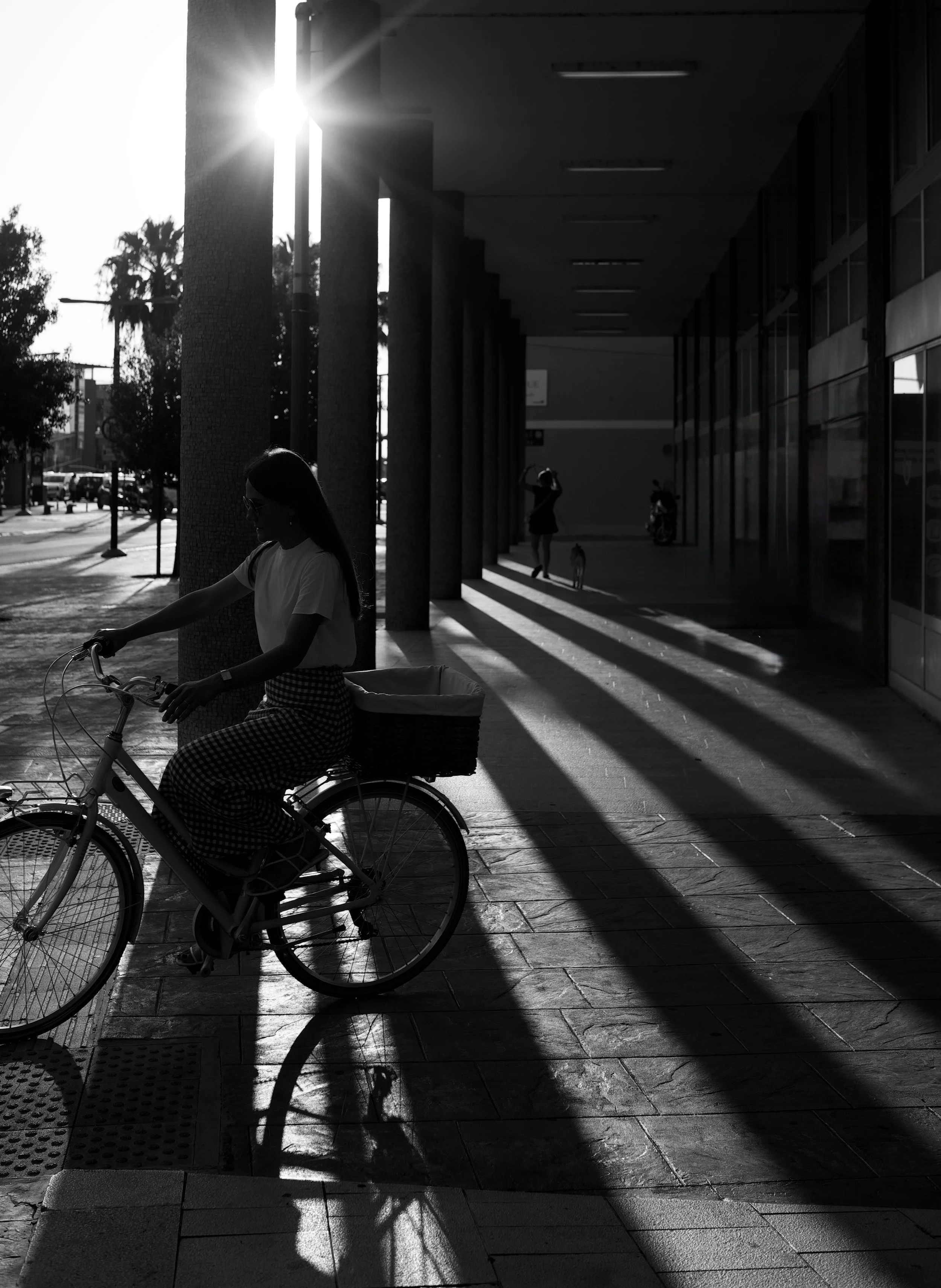 Black and white photo of a woman riding a bicycle with a basket, casting shadows on the sidewalk, while another woman walks a dog and a person takes photos in the background.