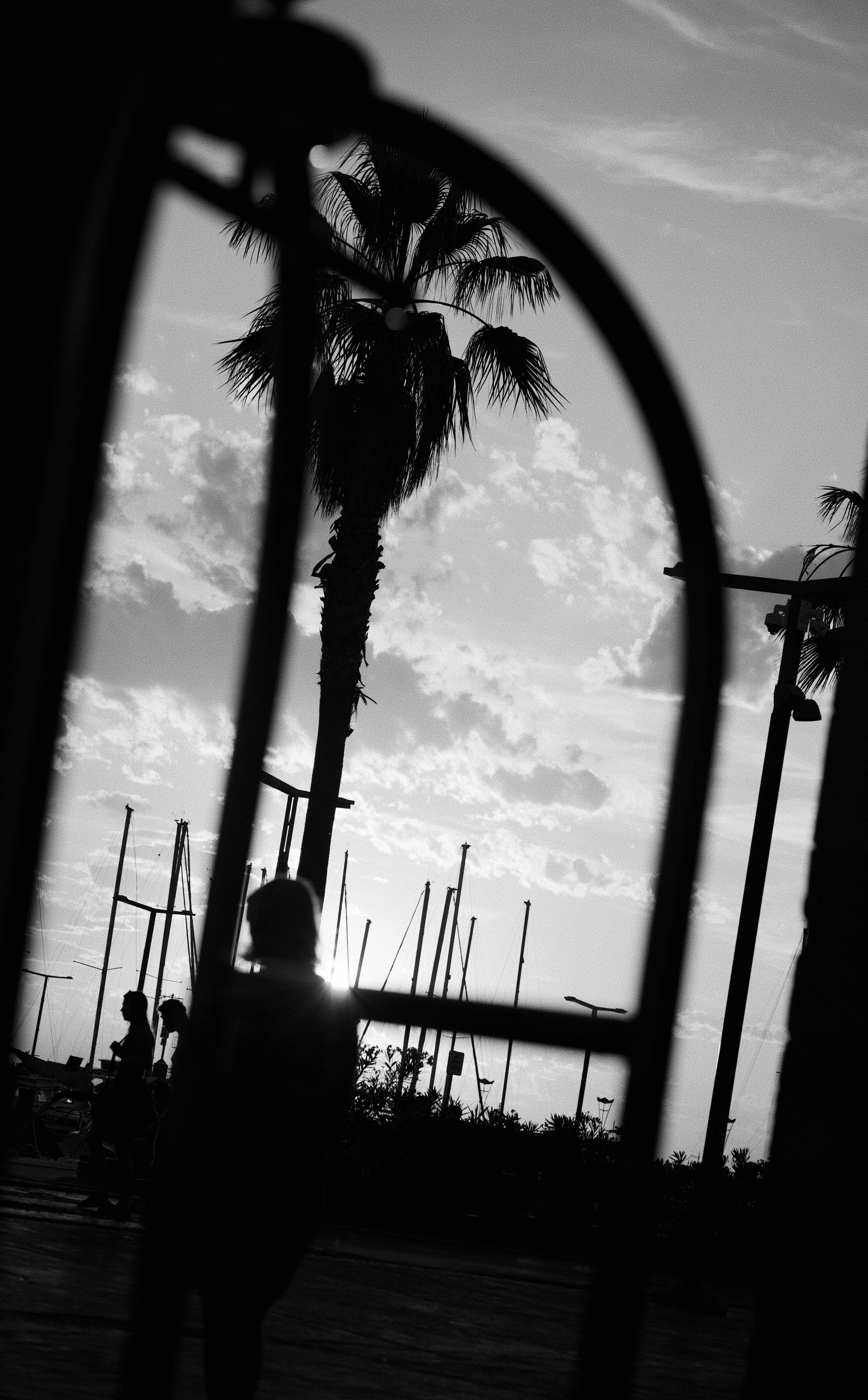Black and white photo taken from behind a fence, showing people walking near a marina with sailboats and tall palm trees, under a cloudy sky.