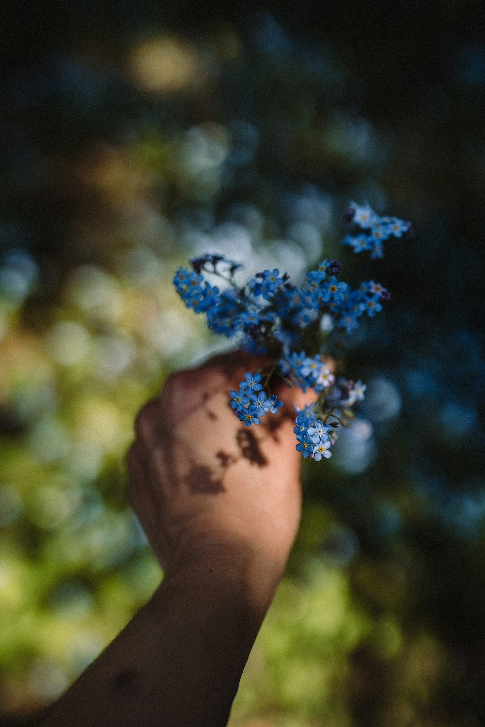 Blue forget-me-not flowers held in a hand, symbolising remembrance and memorial care