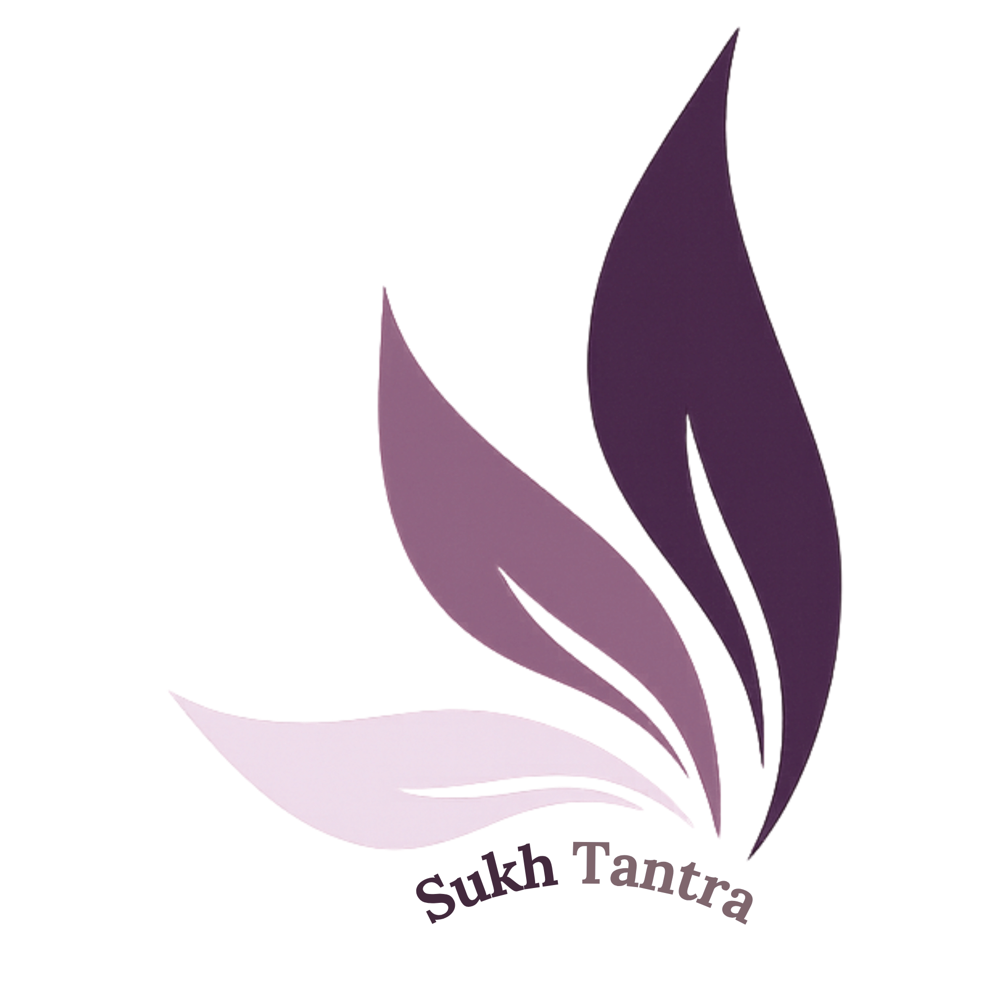 Illustrated Sukh Tantra symbol explaining the three layers of experience: body, energy and self.