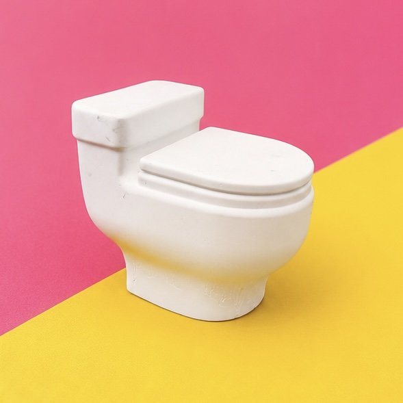 Cuvette avec couvercle amovible 🚽