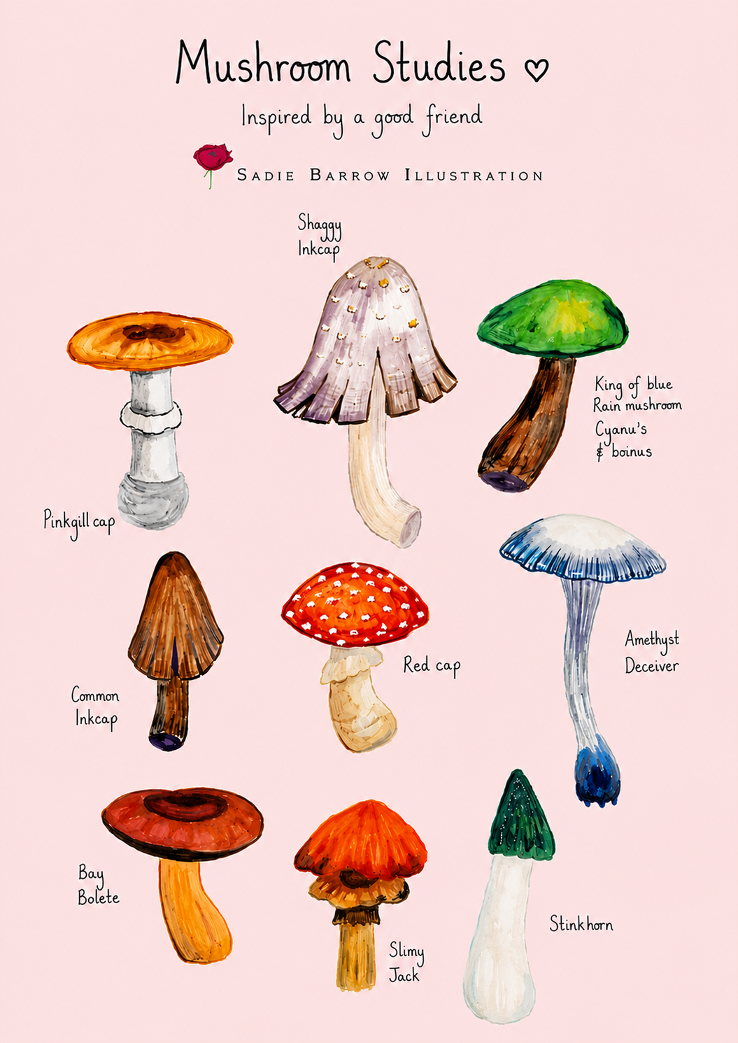 Mushroom studies - A4 printable Art Download