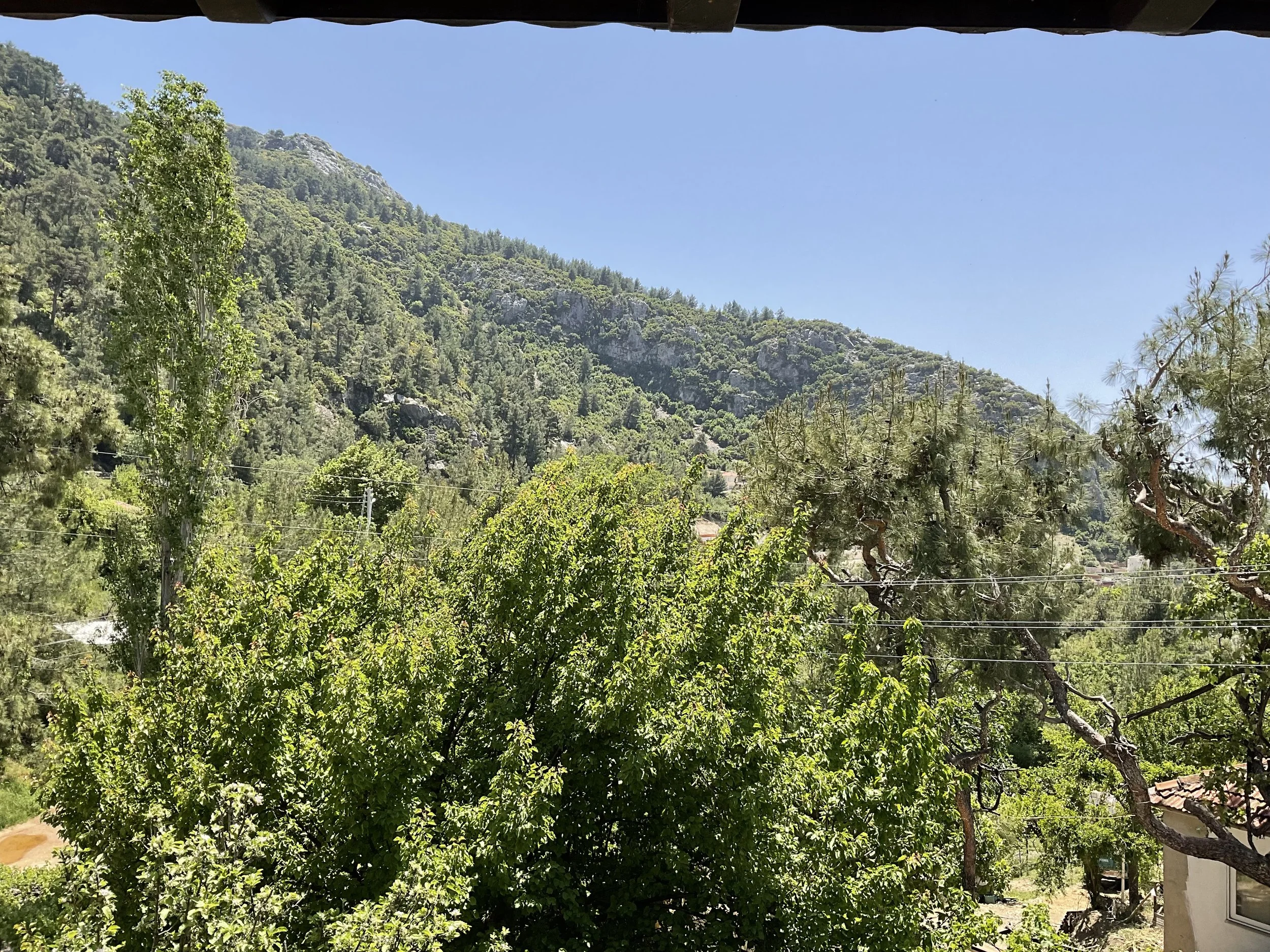 IMG_3399.jpeg