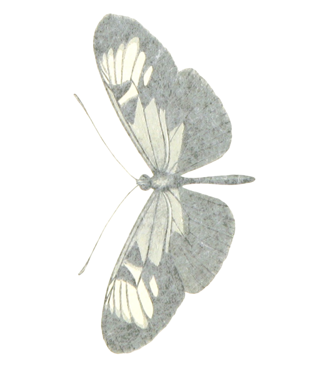 A butterfly-shaped object with reflective surfaces, resembling window or mirror design, viewed from the side.