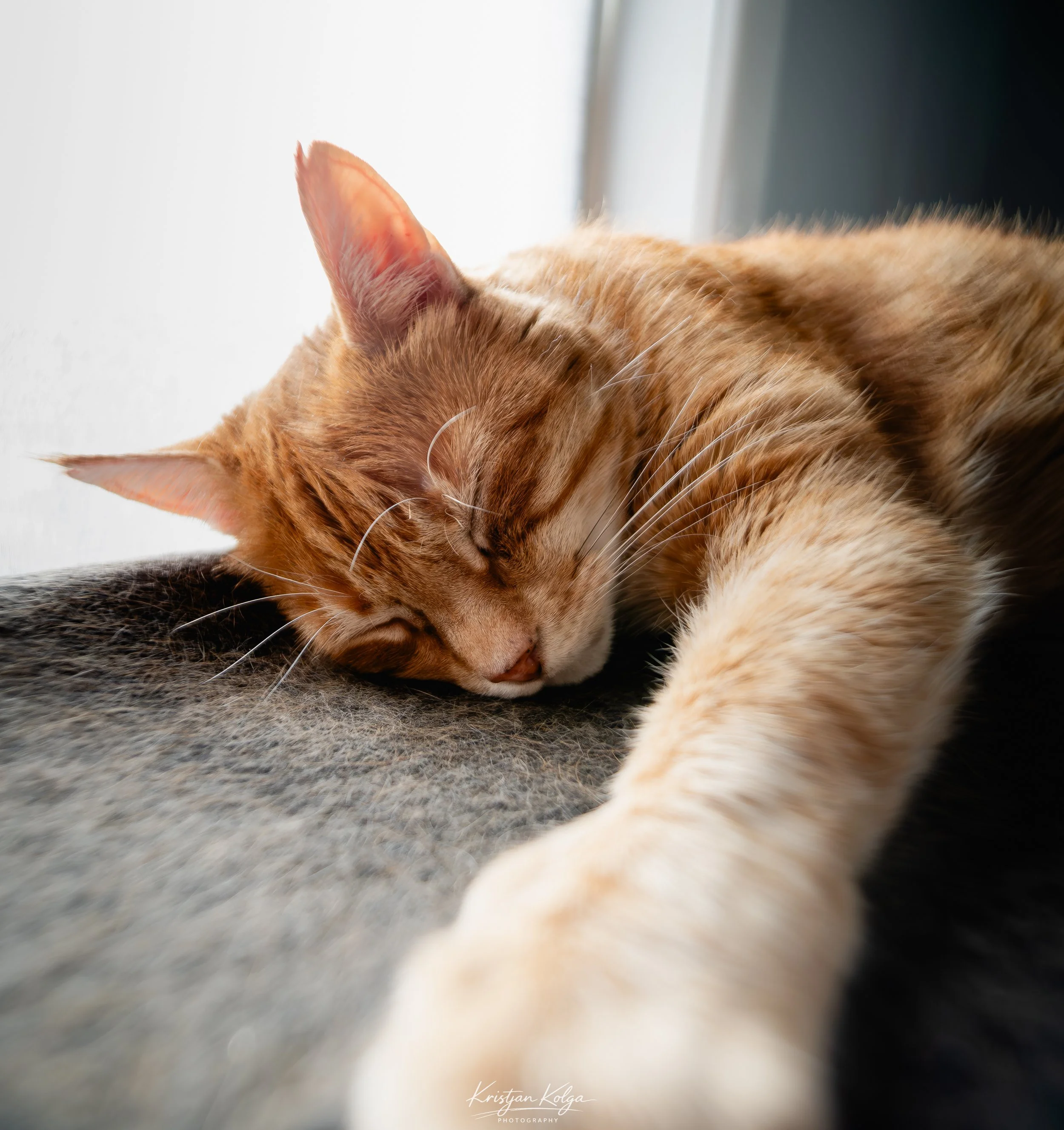 DSC_0286.jpg