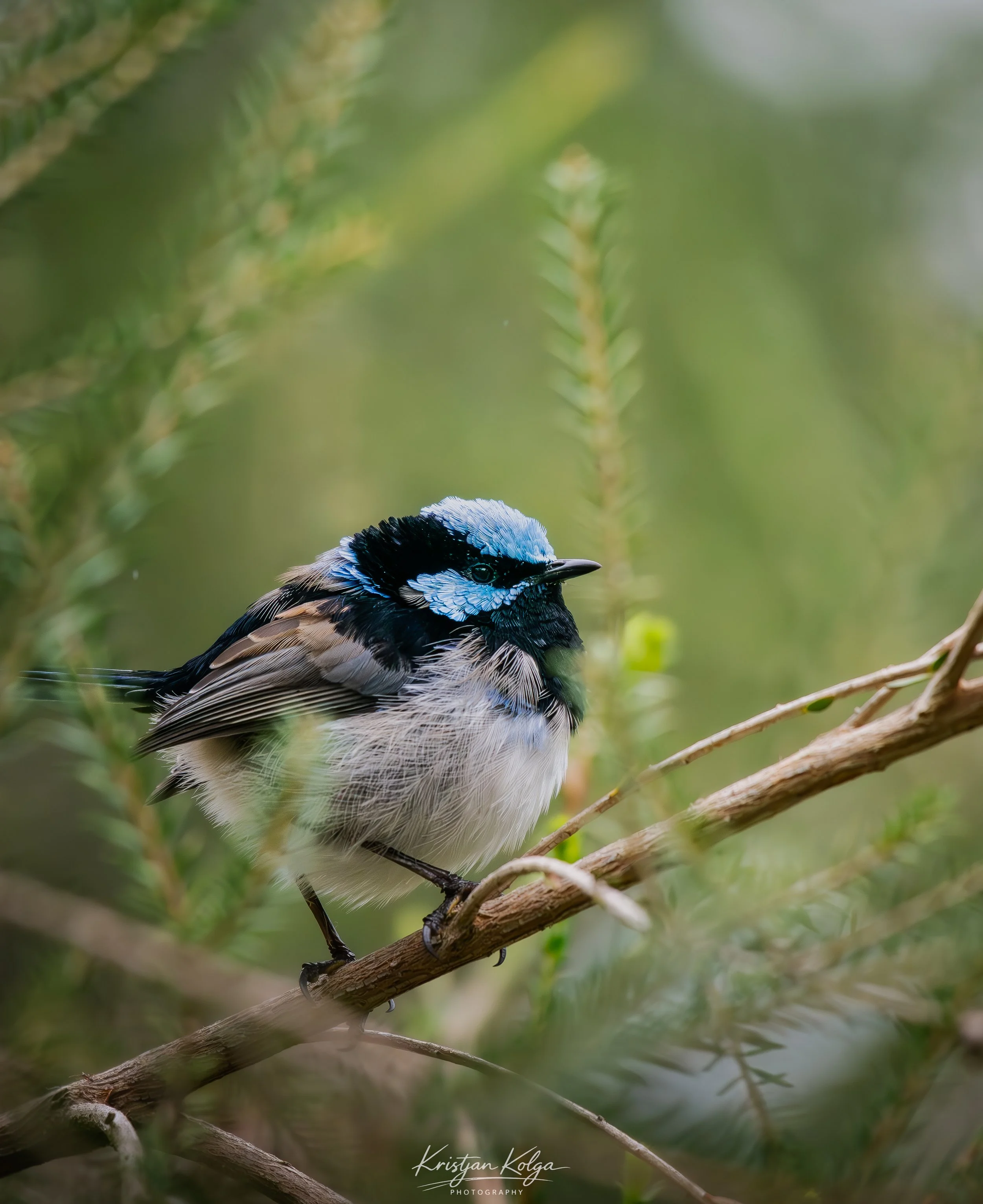 DSC_0258.jpg