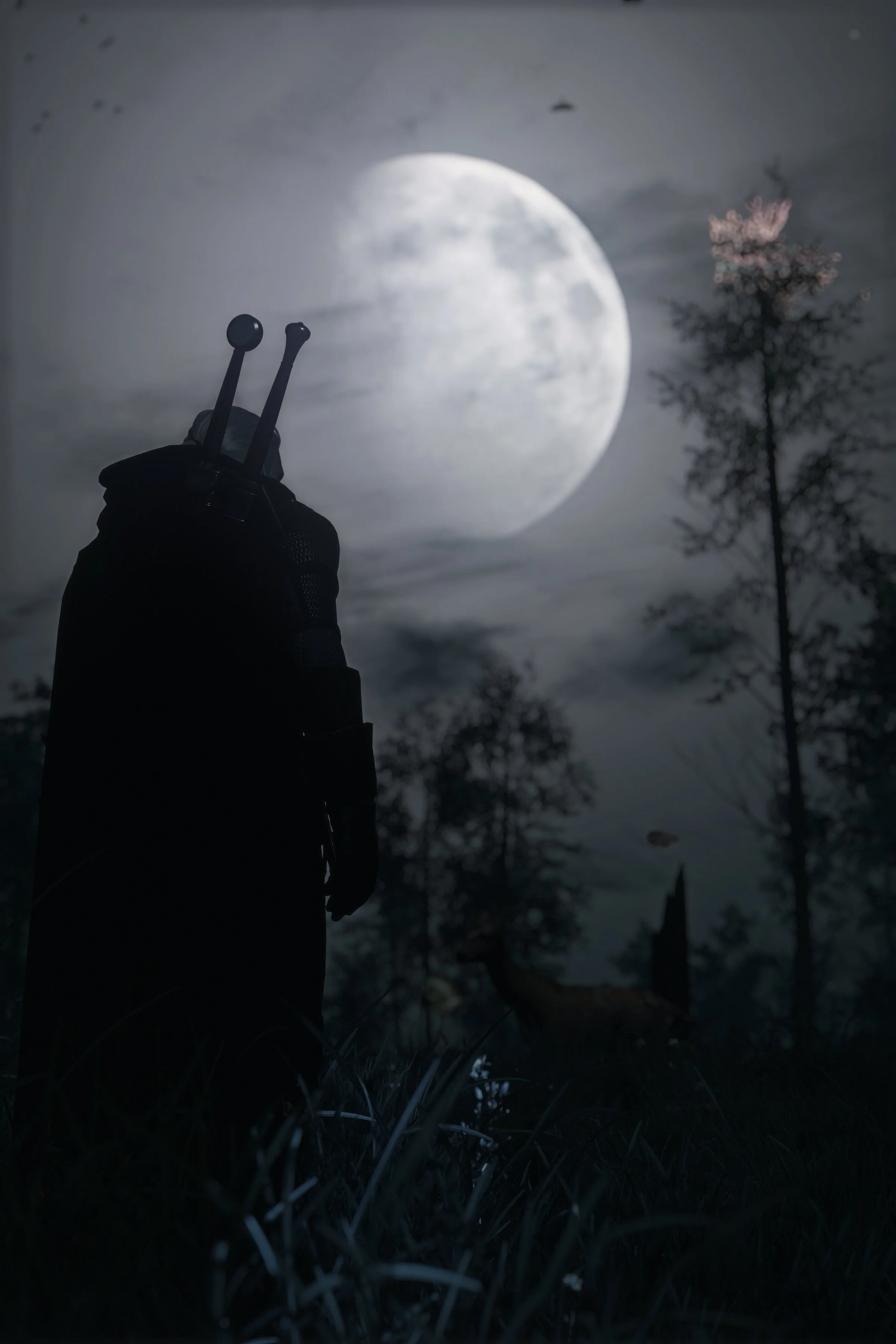 witcher3 2025-06-14 22-03-32.jpg