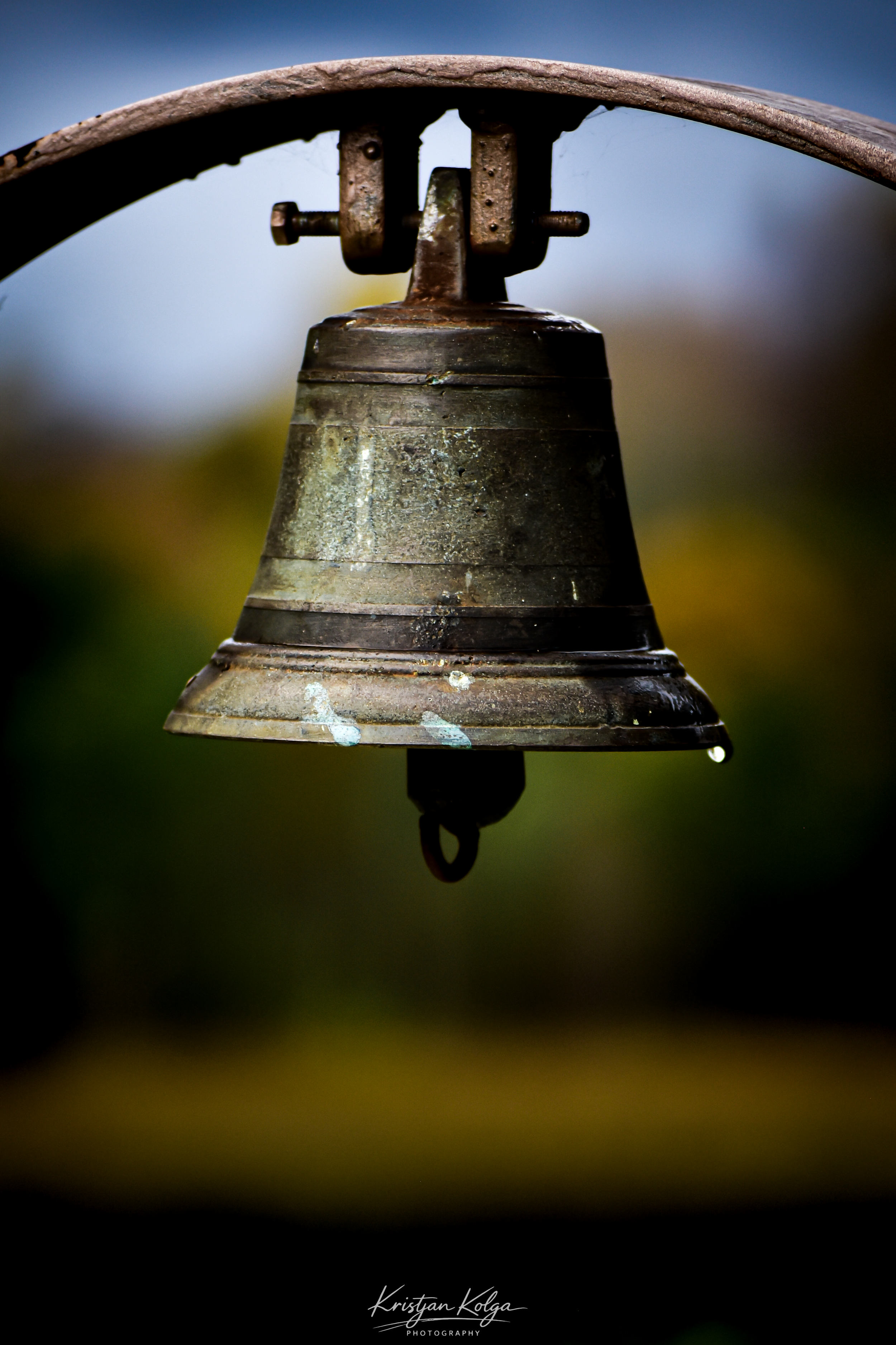DSC_8375.png