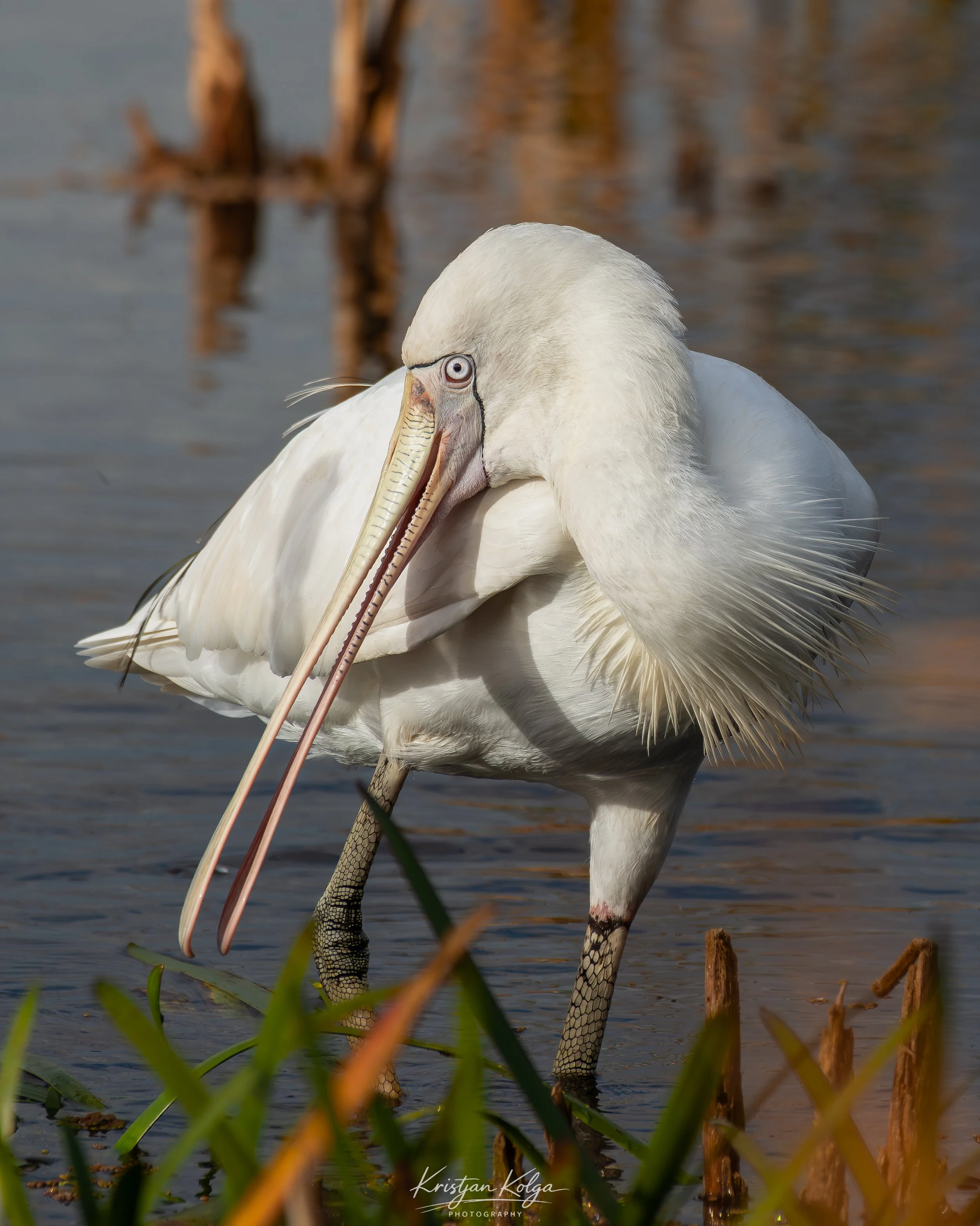 DSC_0076.jpg
