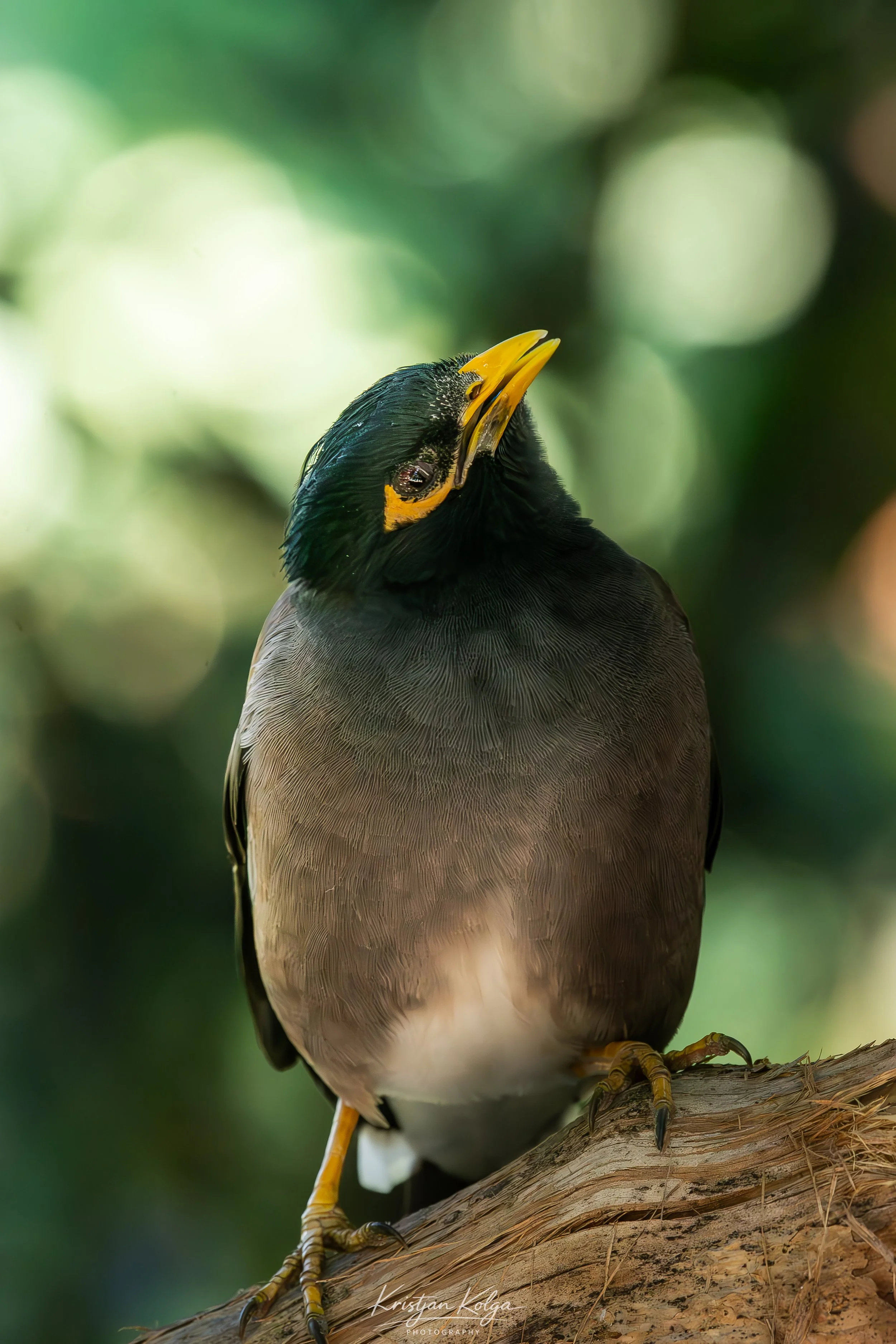 DSC_9864.jpg