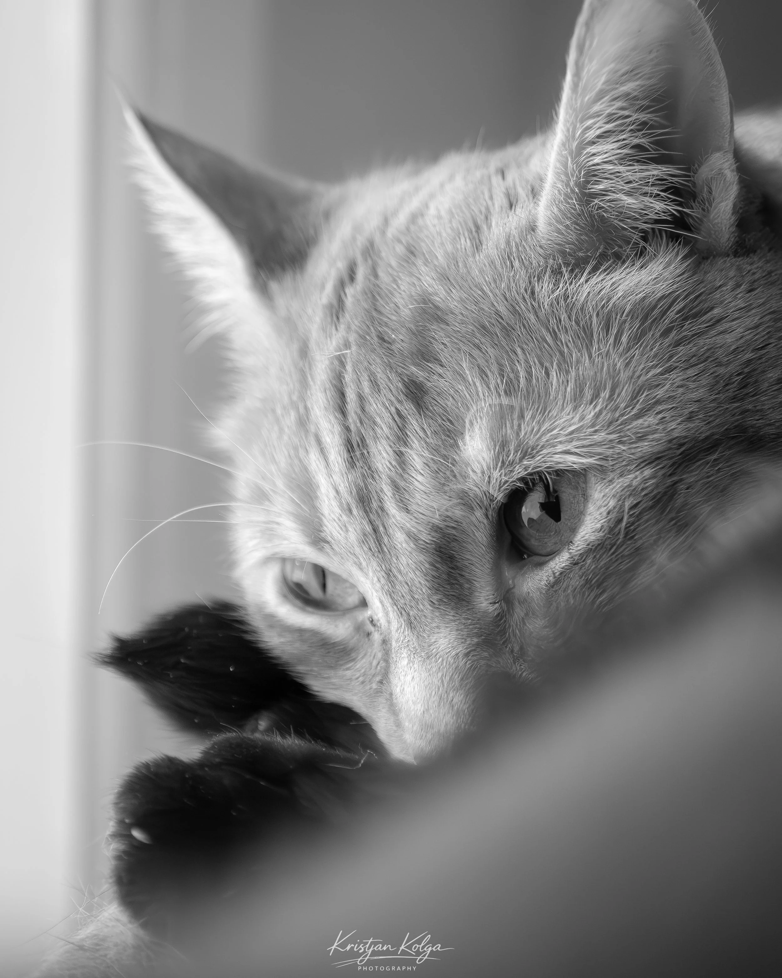 DSC_0489.jpg