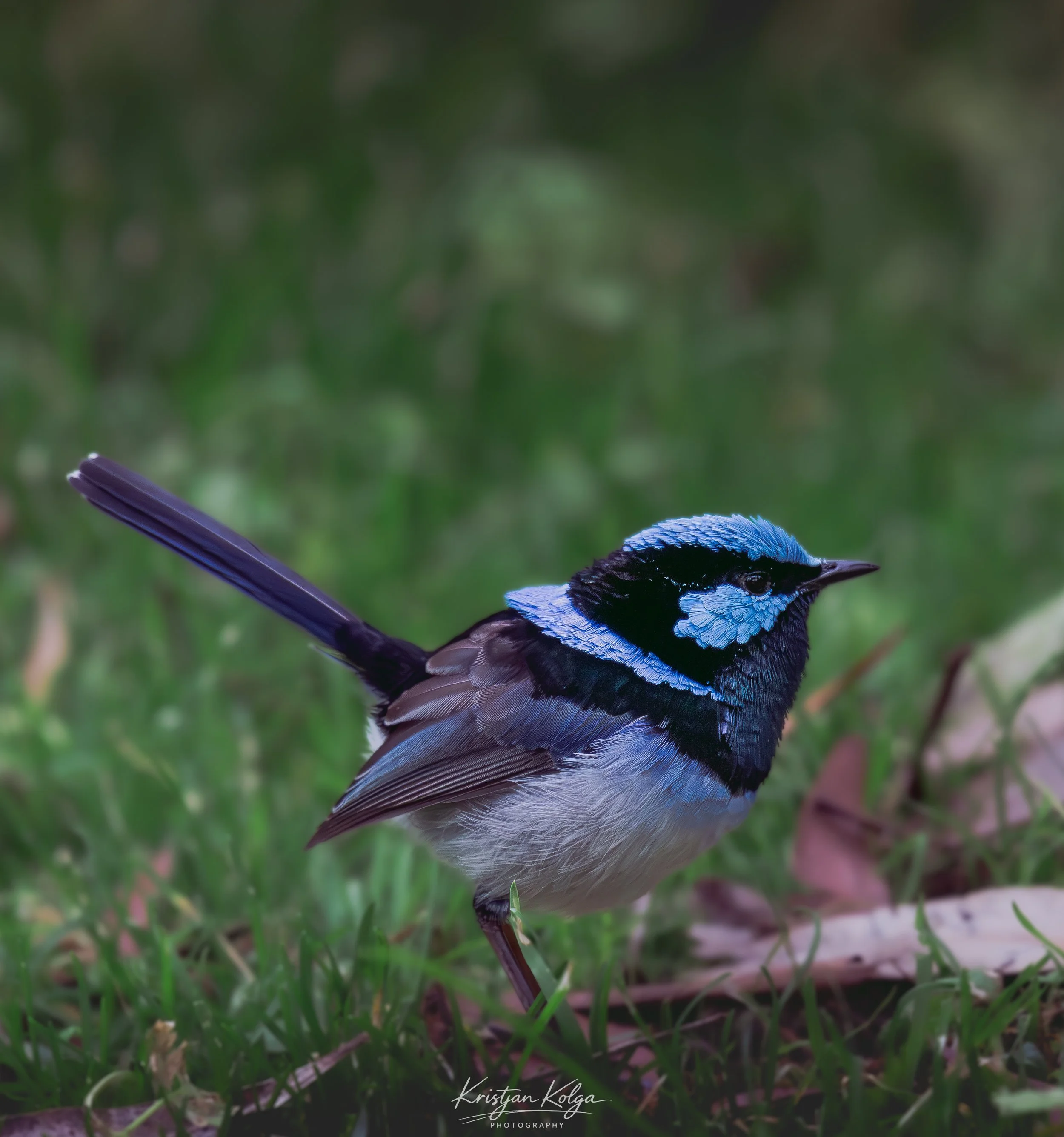 DSC_0652.jpg
