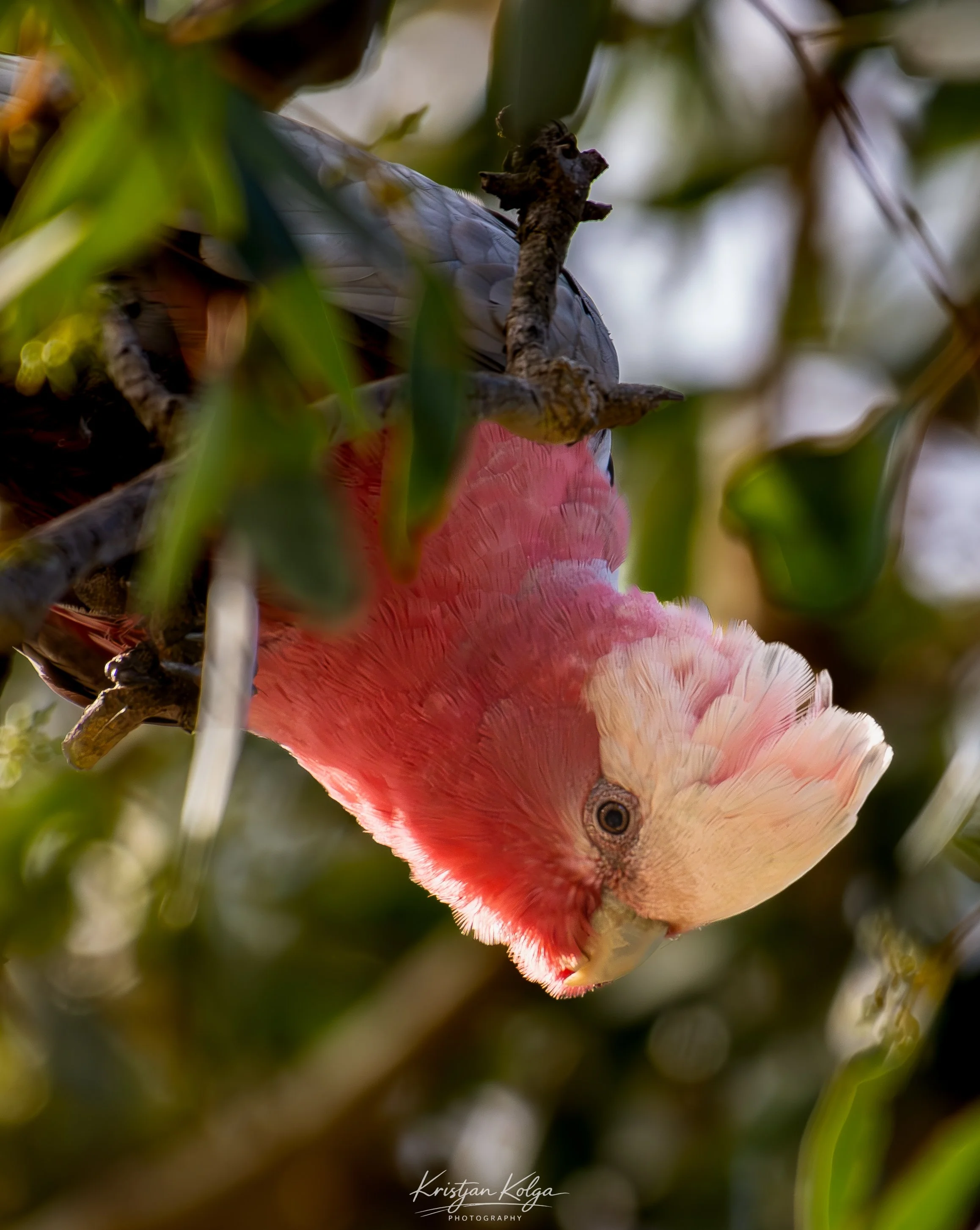 DSC_0303.jpg