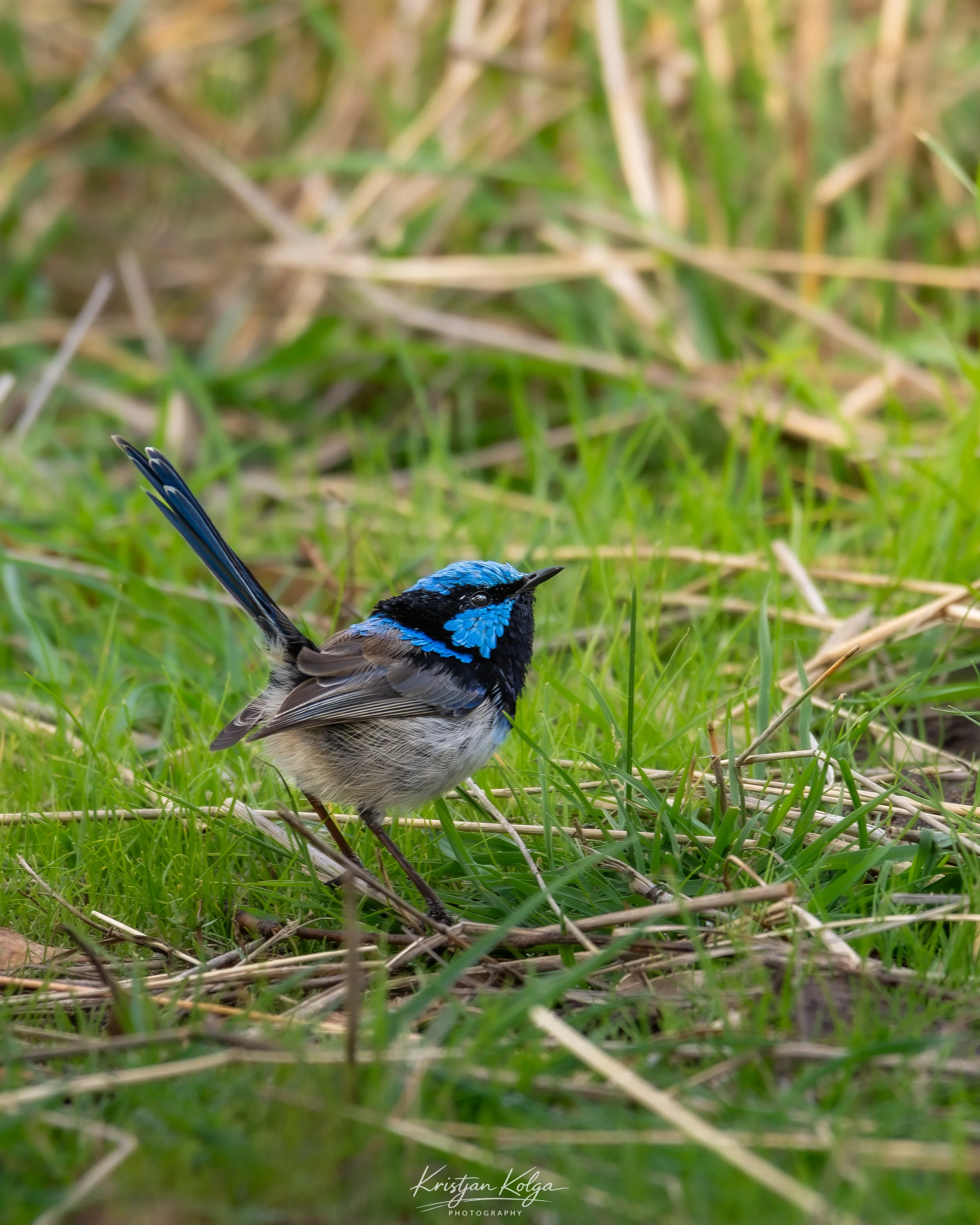 DSC_0198.jpg