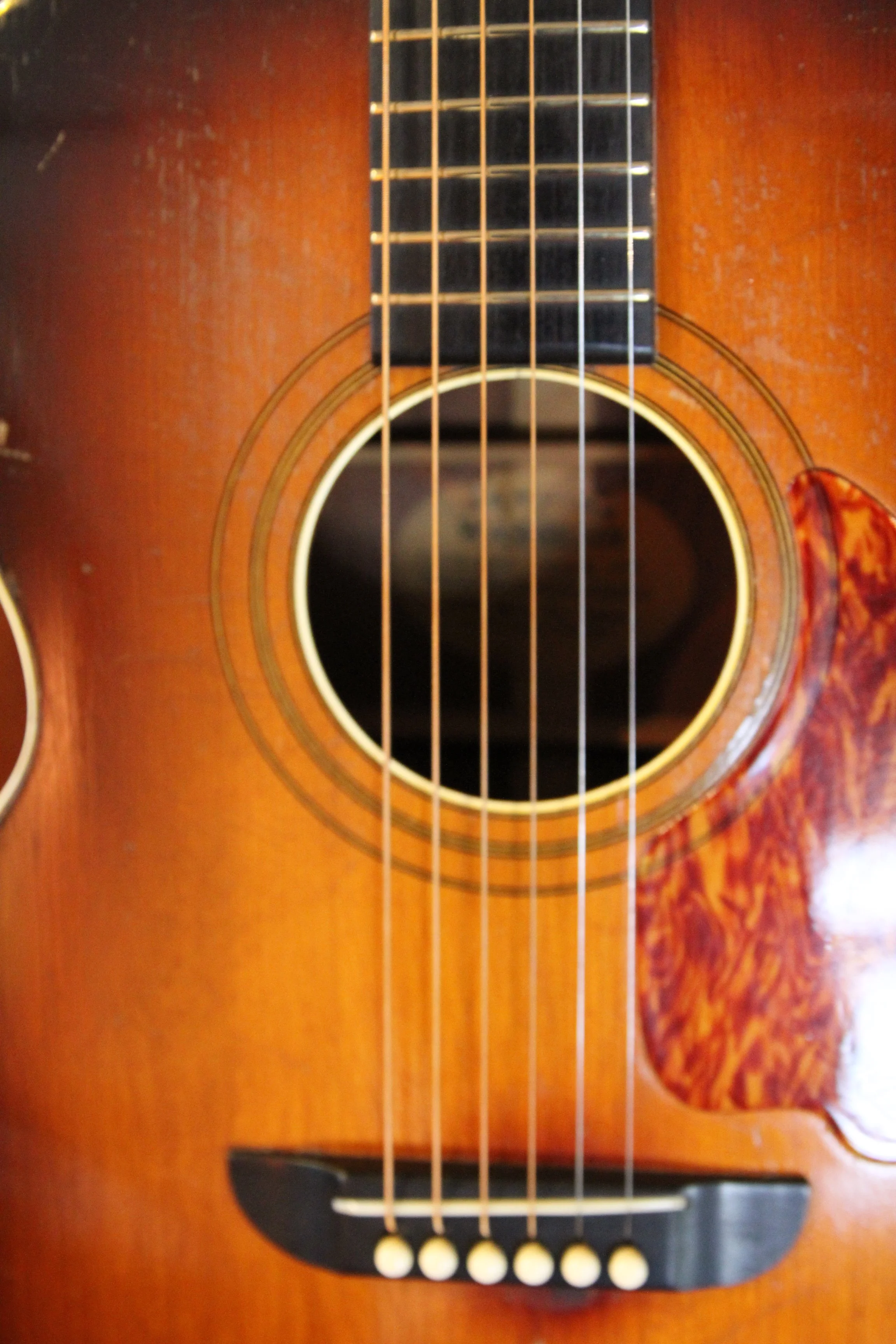 soundhole bridge pickguard Washburn 5244
