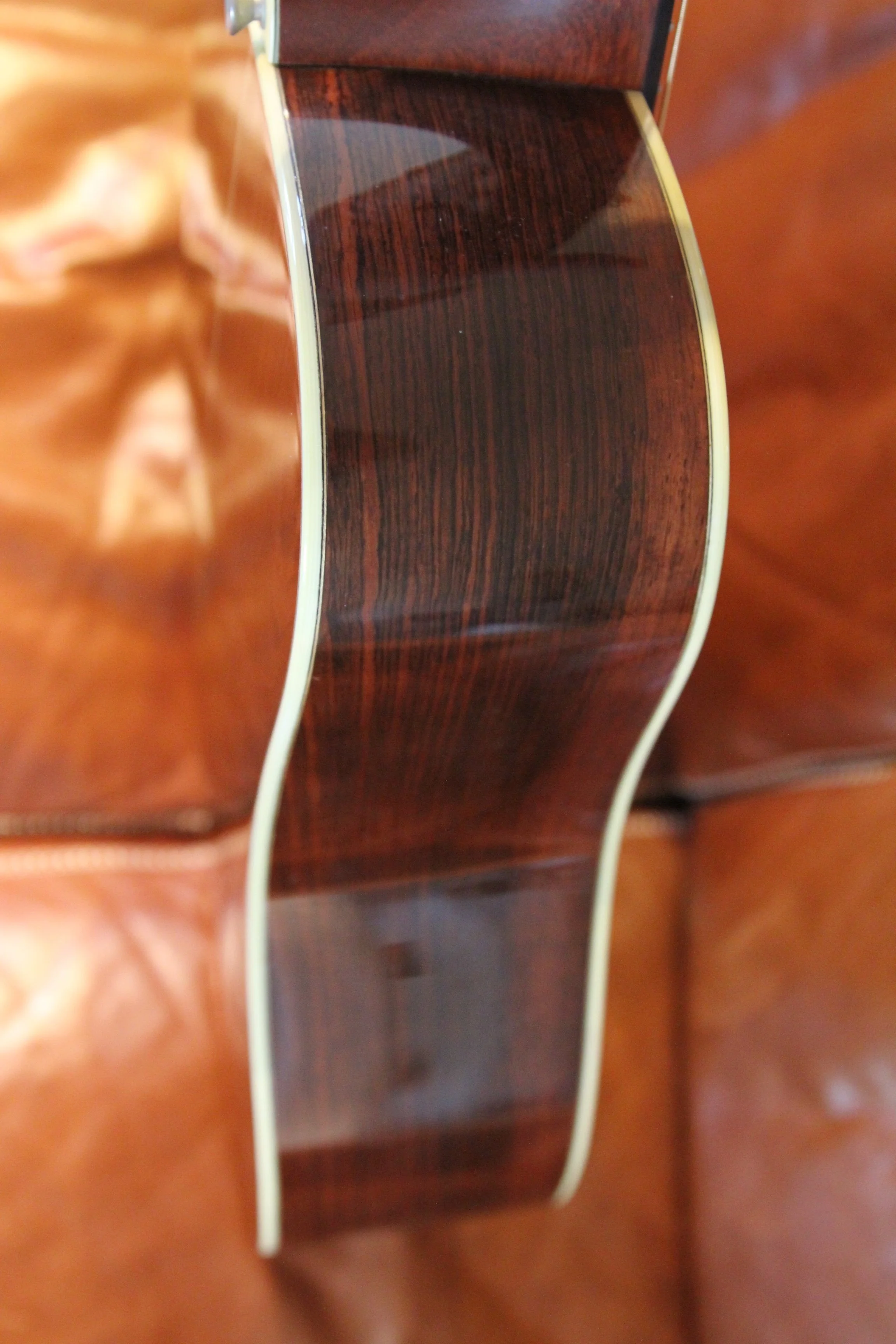 bass side Santa Cruz D