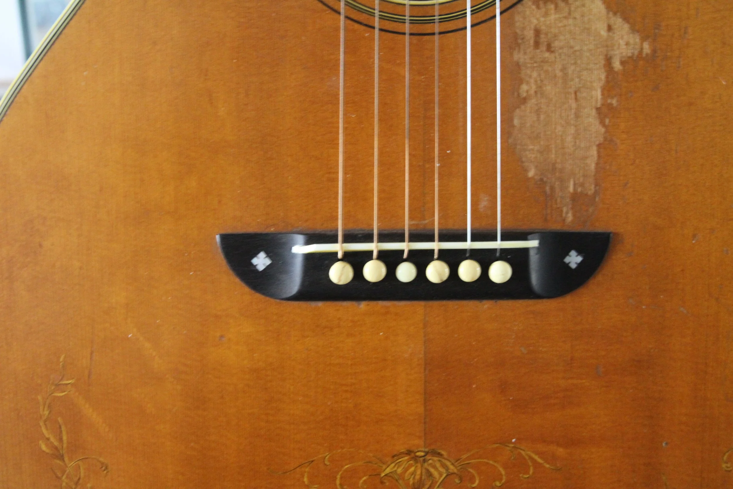 top wear and moustach bridge Washburn 5234