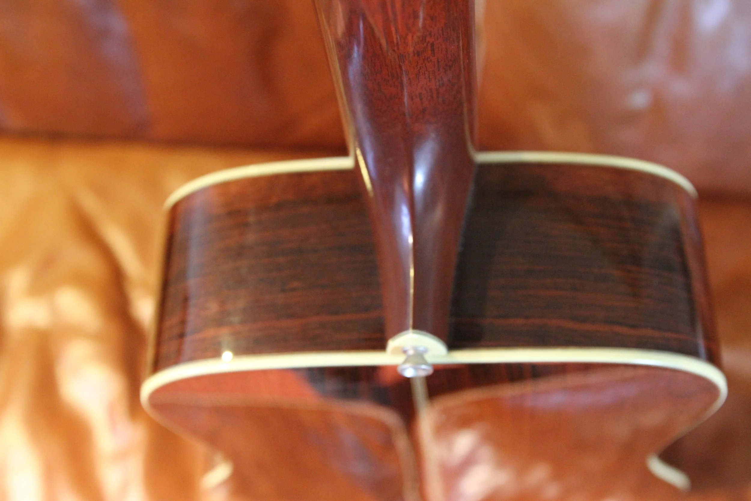 upper sides and neck joint Santa Cruz D