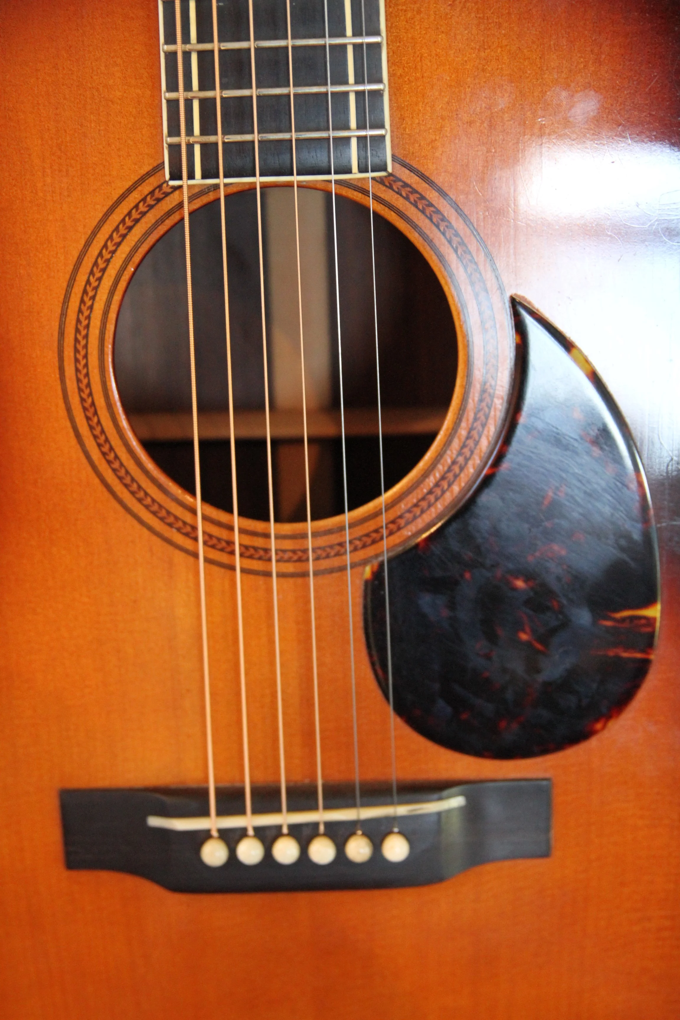pick-guard, bridge and soundhole of Martin F-7