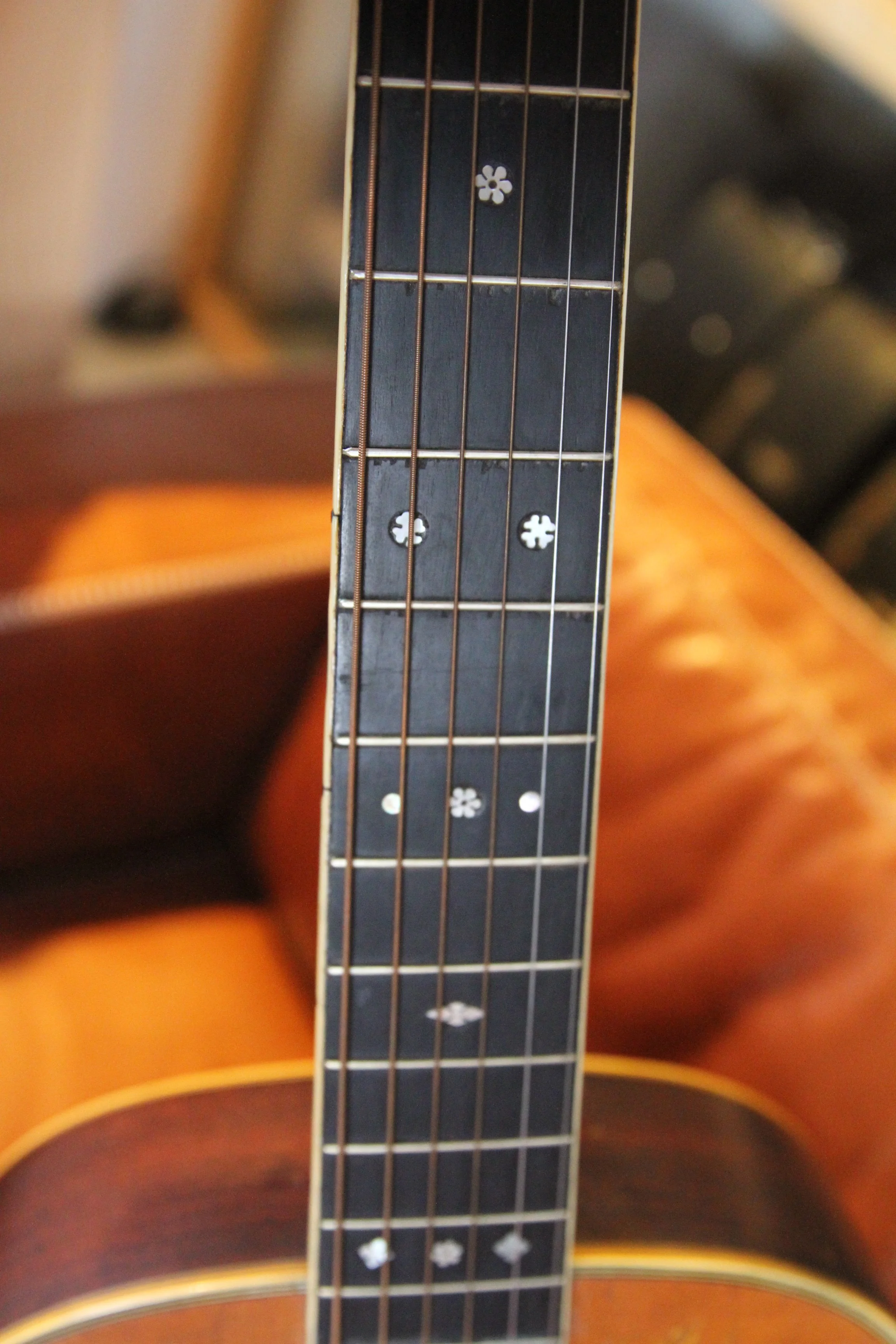 fretboard with inlays Washburn 5234